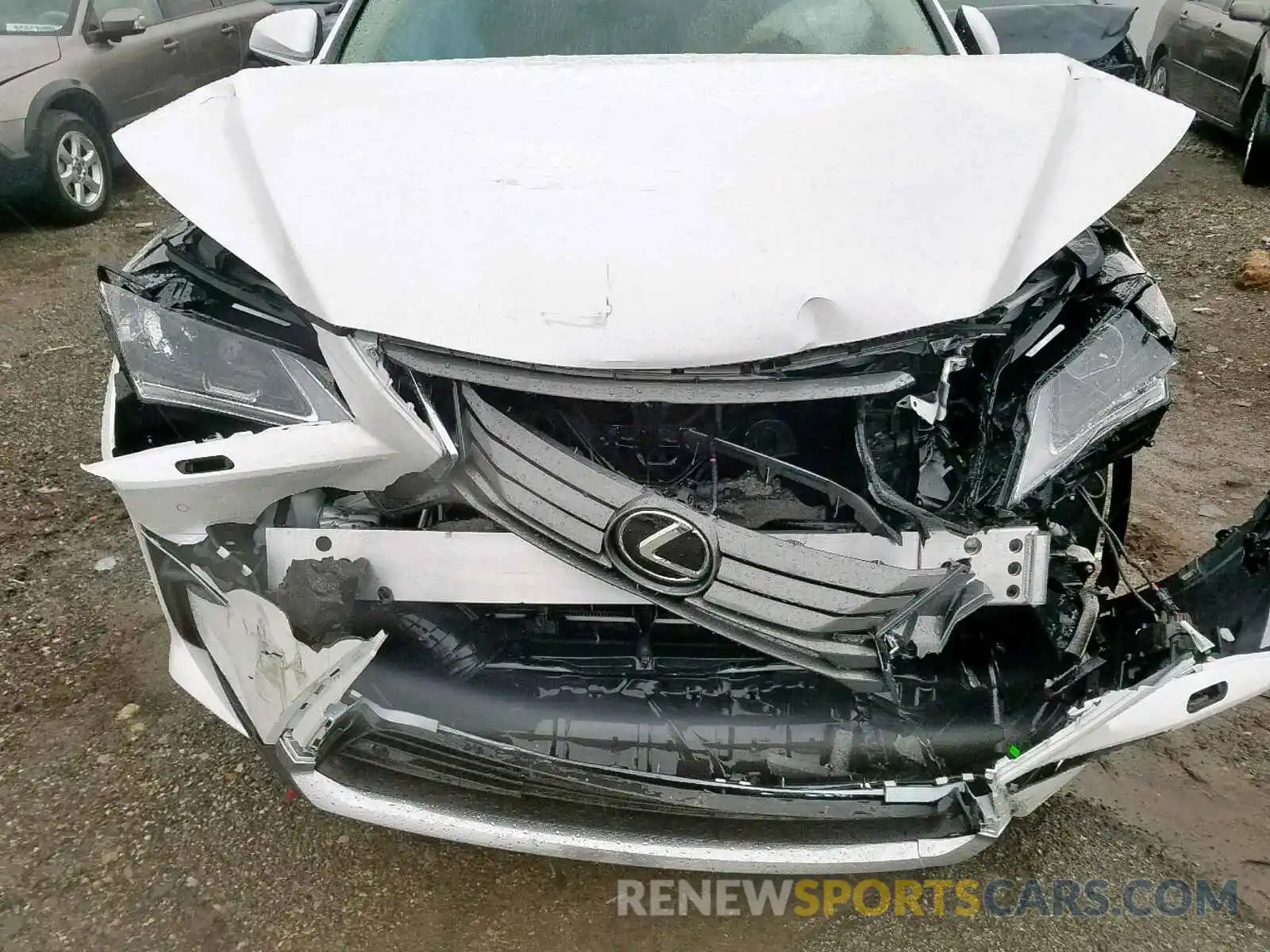 7 Photograph of a damaged car 2T2BZMCA2KC182993 LEXUS RX 350 BAS 2019