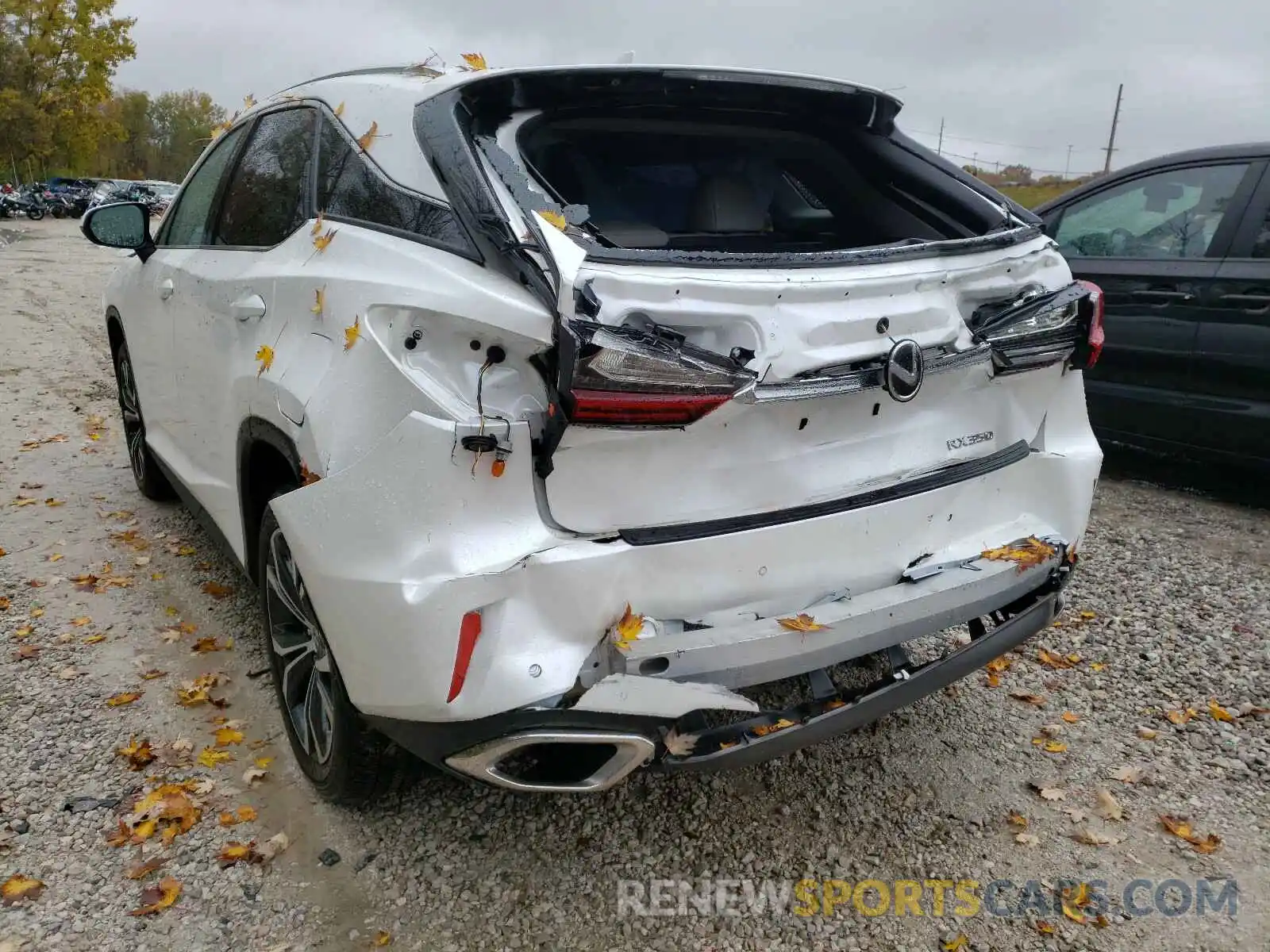 3 Photograph of a damaged car 2T2BZMCA6KC192300 LEXUS RX 350 BAS 2019