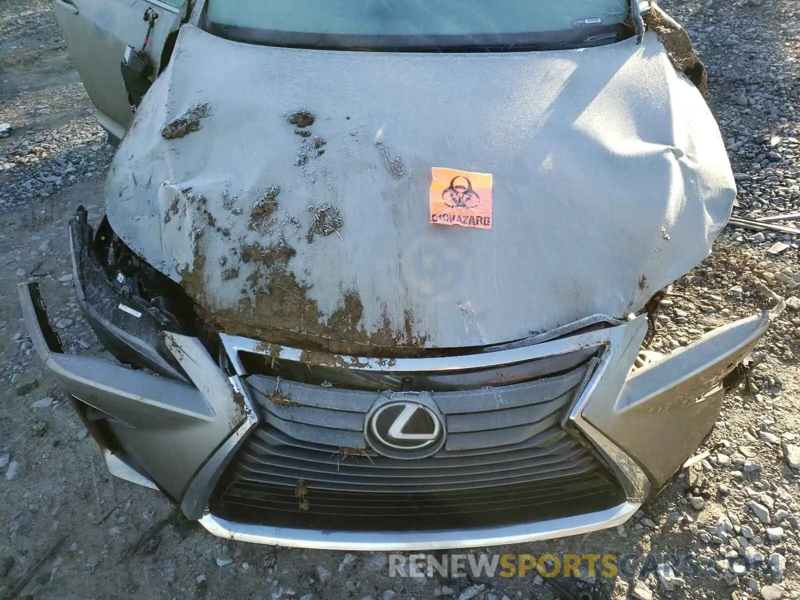 7 Photograph of a damaged car 2T2ZZMCA3KC134207 LEXUS RX350 2019