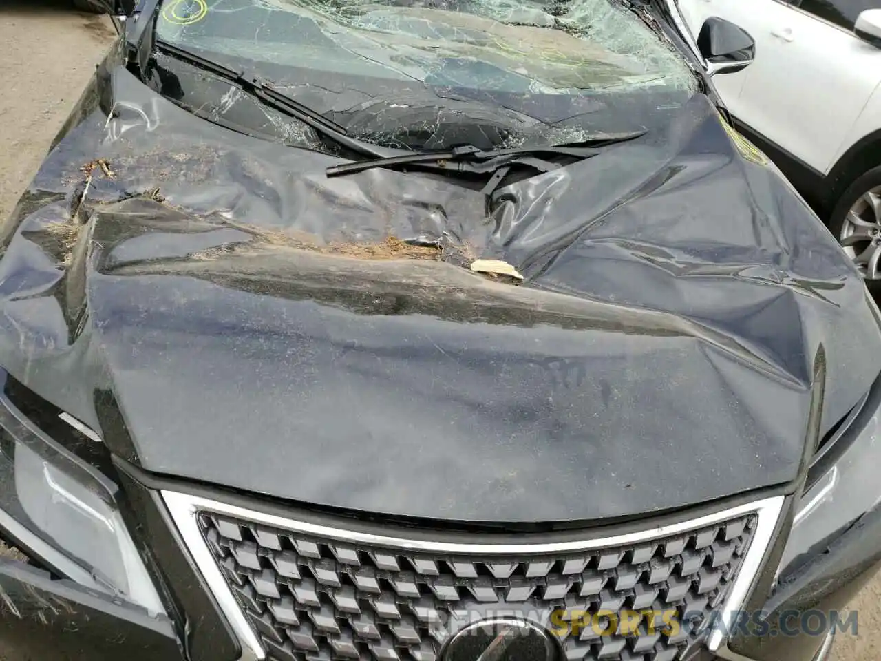 7 Photograph of a damaged car JTJHZKFA1L2026553 LEXUS RX350 2020