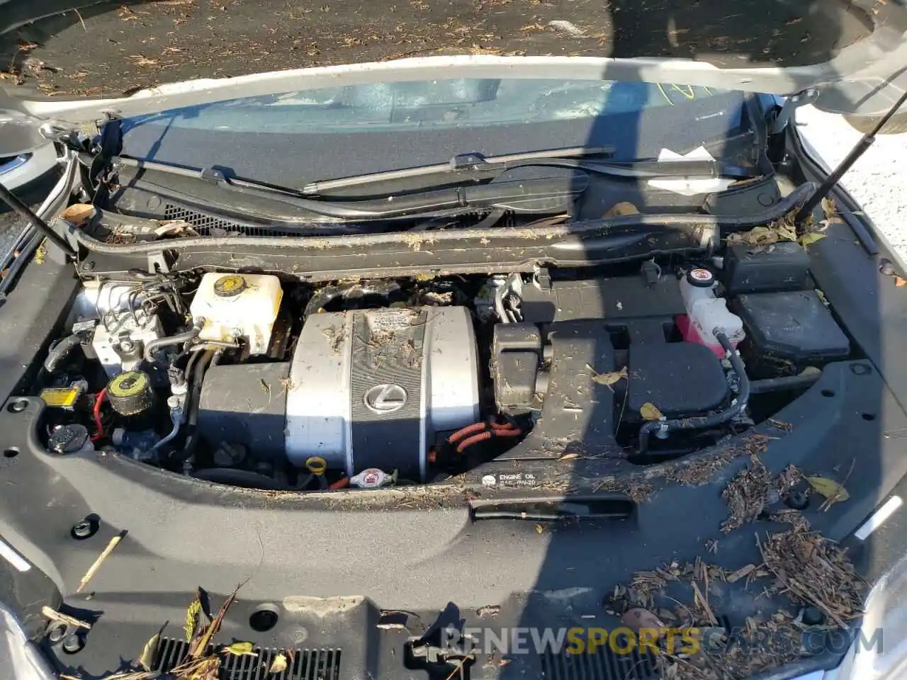 7 Photograph of a damaged car 2T2BGMCA3KC033787 LEXUS RX450 2019