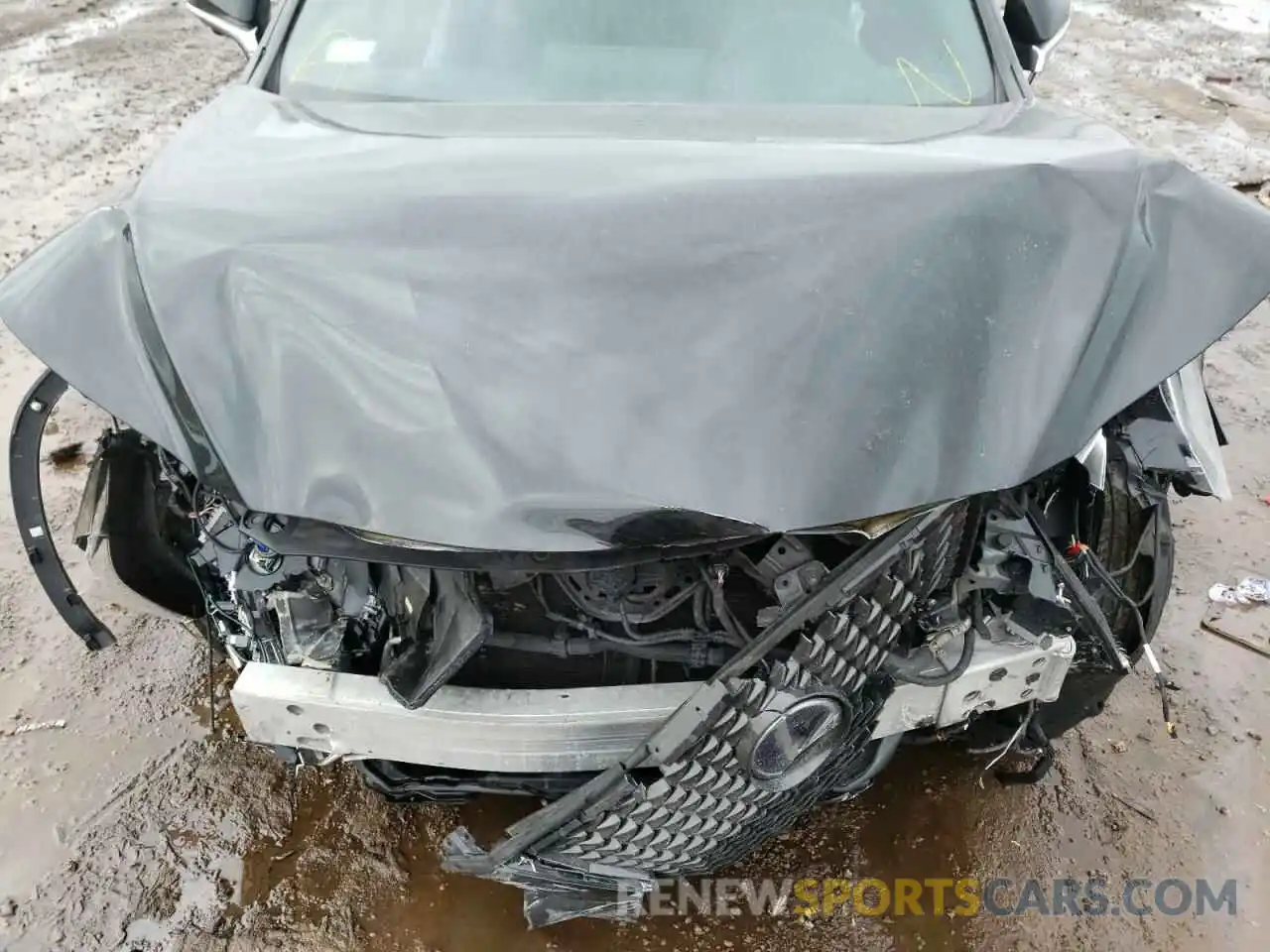 7 Photograph of a damaged car 2T2BGMCA9KC038539 LEXUS RX450 2019