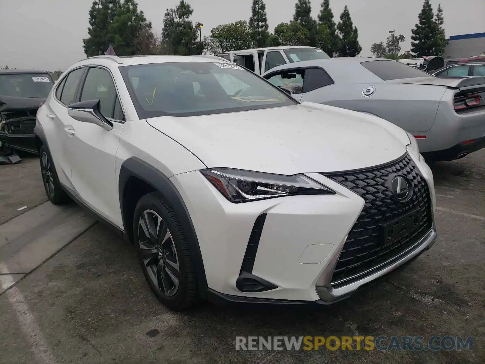 1 Фотография поврежденного автомобиля JTHP3JBH2L2024550 LEXUS UX 200 2020