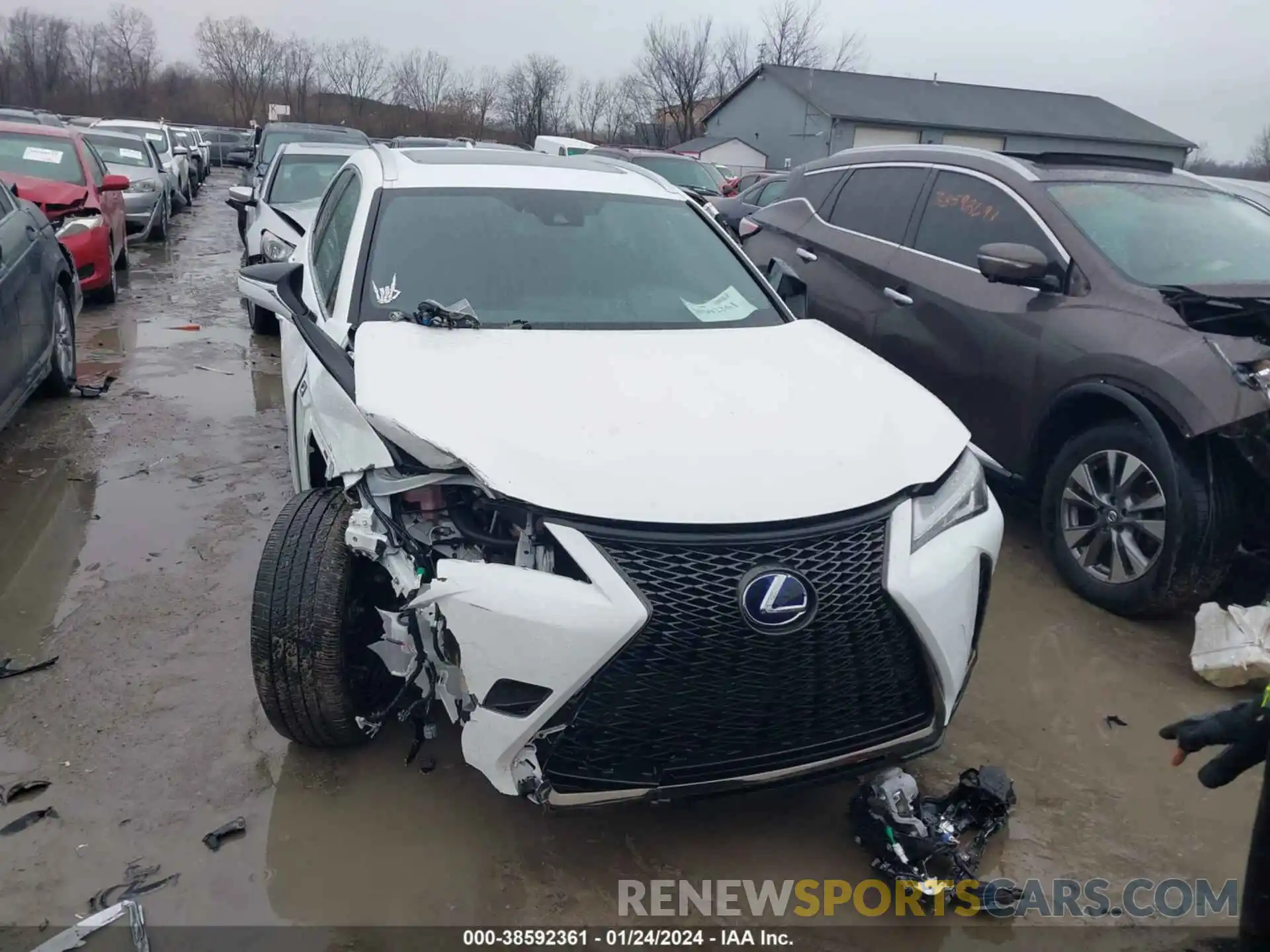 13 Фотография поврежденного автомобиля JTHR9JBH8N2060897 LEXUS UX 250H 2022