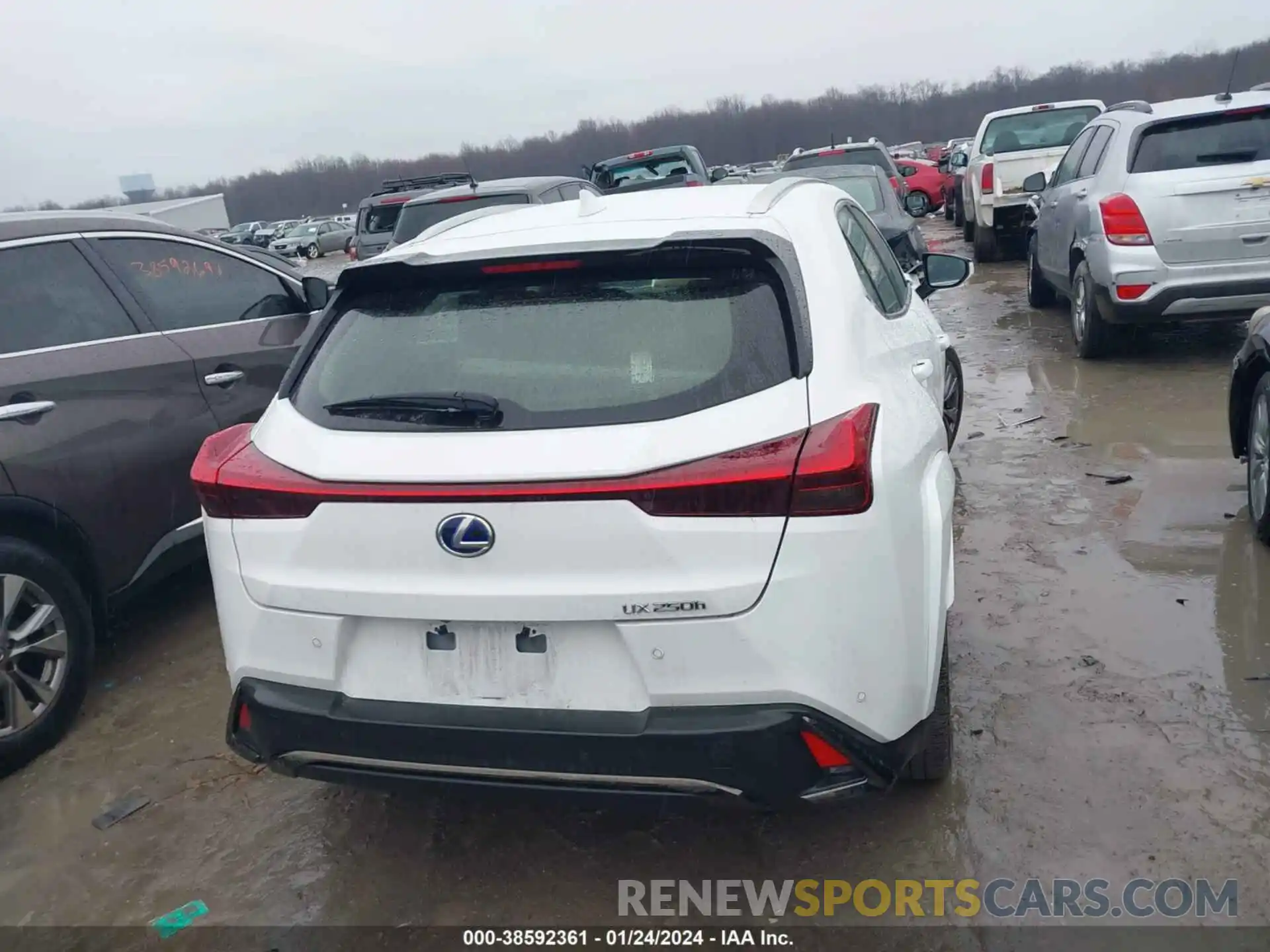 17 Photograph of a damaged car JTHR9JBH8N2060897 LEXUS UX 250H 2022