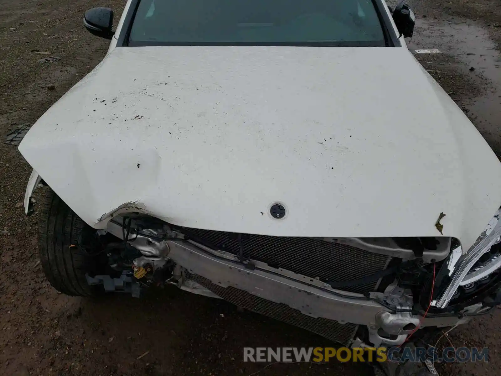 7 Photograph of a damaged car 55SWF8EB6KU314448 MERCEDES-BENZ C-CLASS 2019