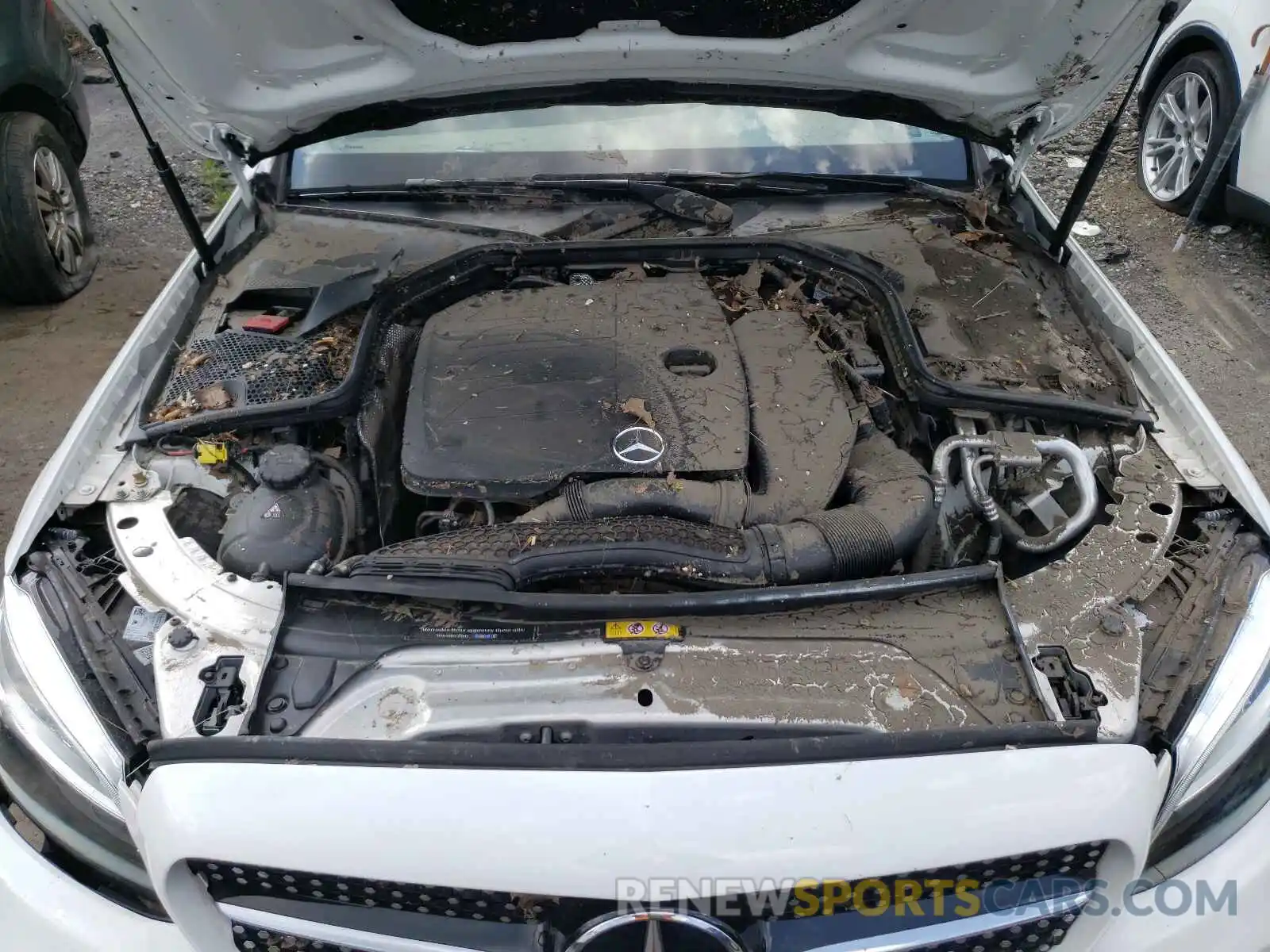 7 Photograph of a damaged car 55SWF8EBXKU315571 MERCEDES-BENZ C-CLASS 2019