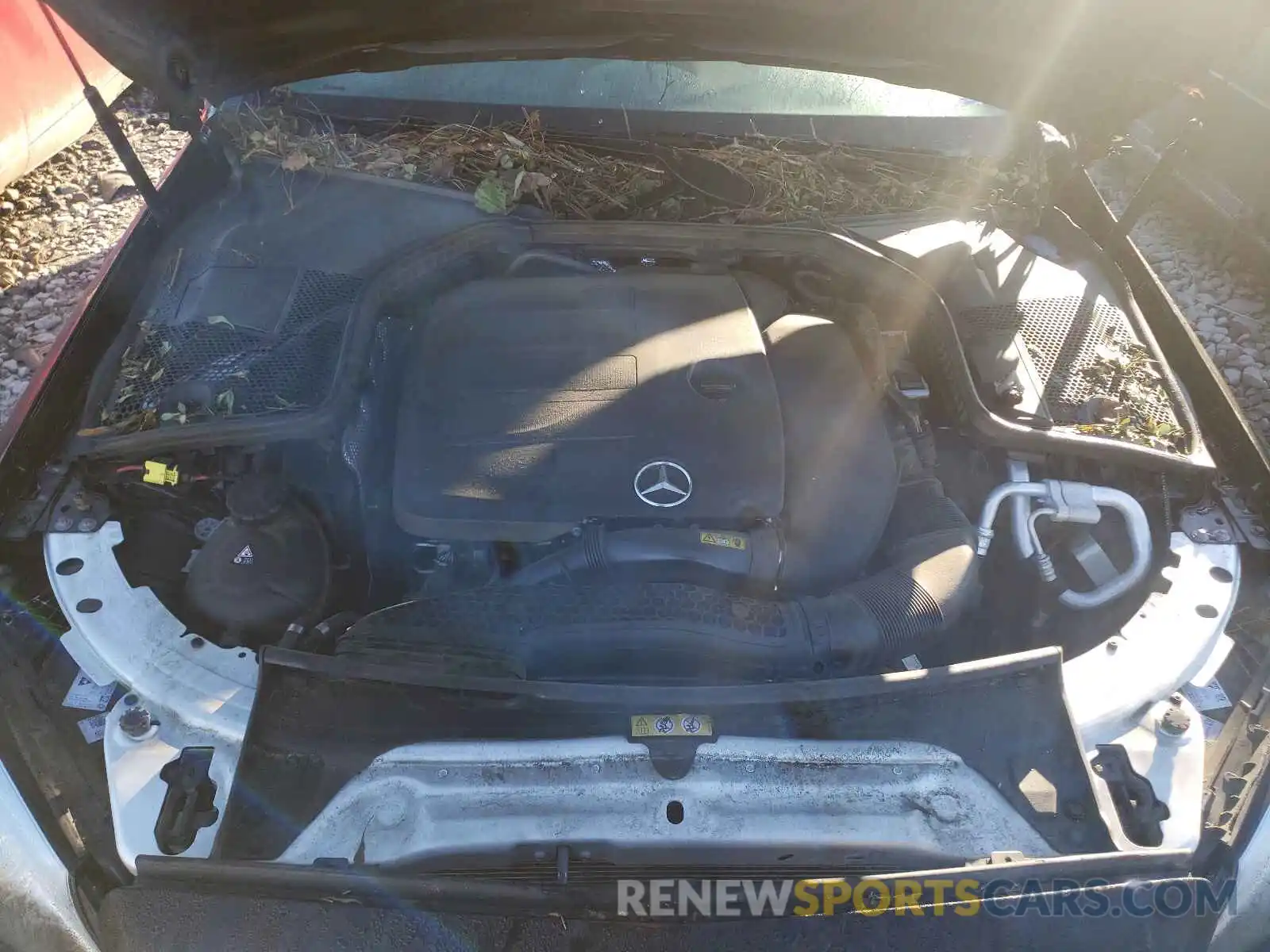 7 Photograph of a damaged car WDDWF8DB6KR463431 MERCEDES-BENZ C-CLASS 2019