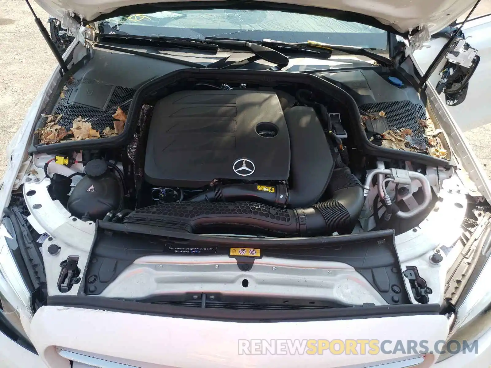 7 Photograph of a damaged car WDDWF8EB1KR481995 MERCEDES-BENZ C-CLASS 2019