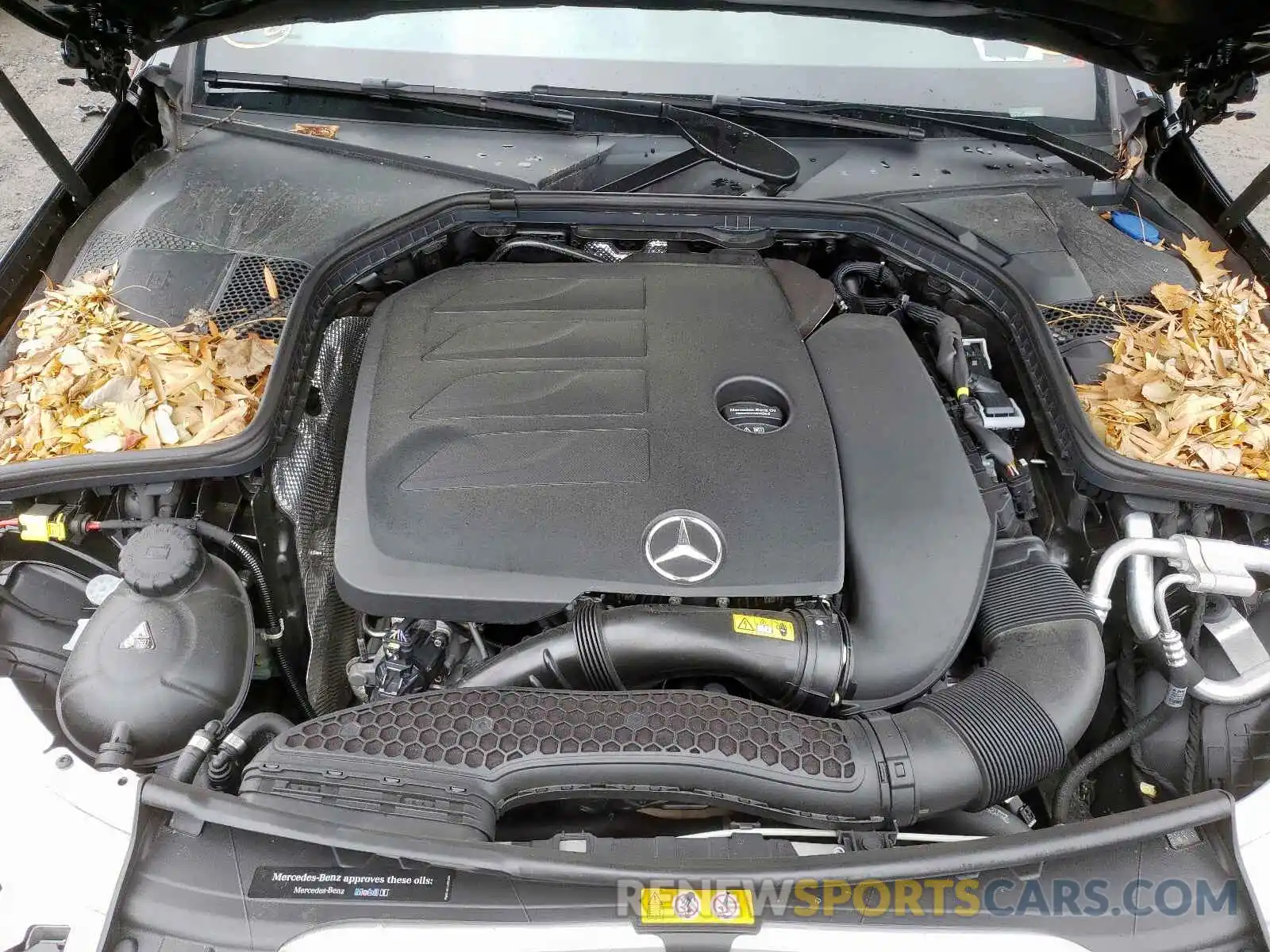 7 Photograph of a damaged car WDDWF8EB7KR504003 MERCEDES-BENZ C CLASS 2019