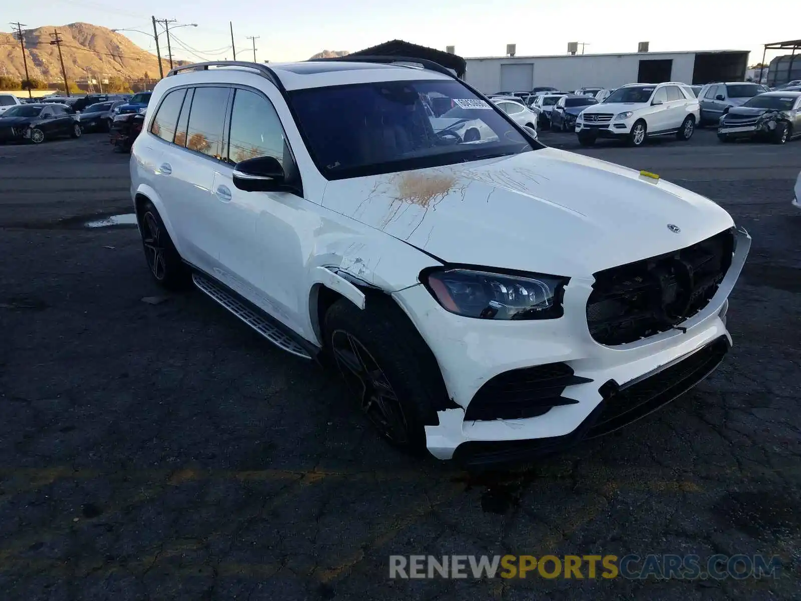 1 Photograph of a damaged car 4JGFF8GE9LA224161 MERCEDES-BENZ GLS 580 4M 2020