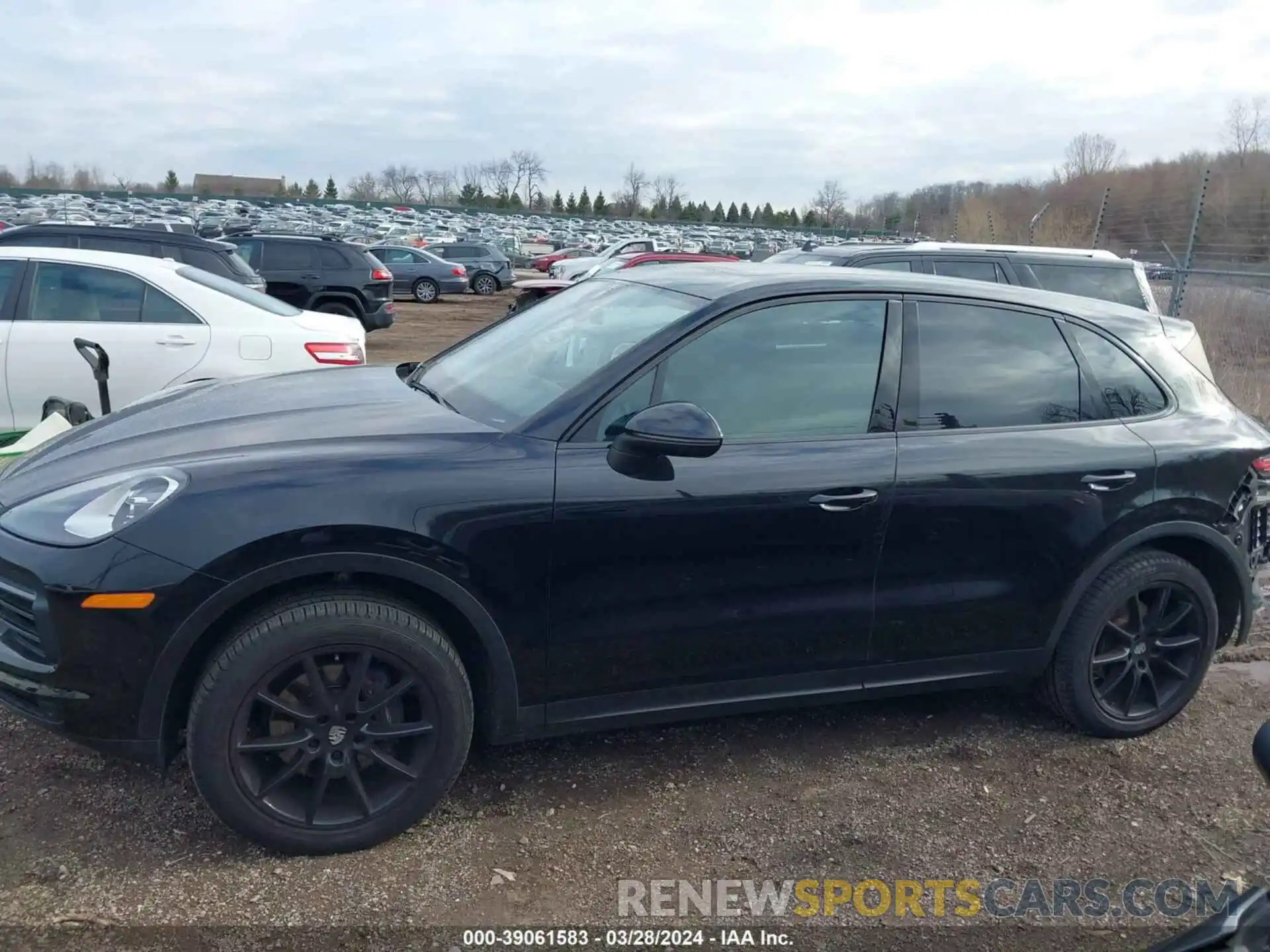 14 Photograph of a damaged car WP1AA2AYXKDA01023 PORSCHE CAYENNE 2019