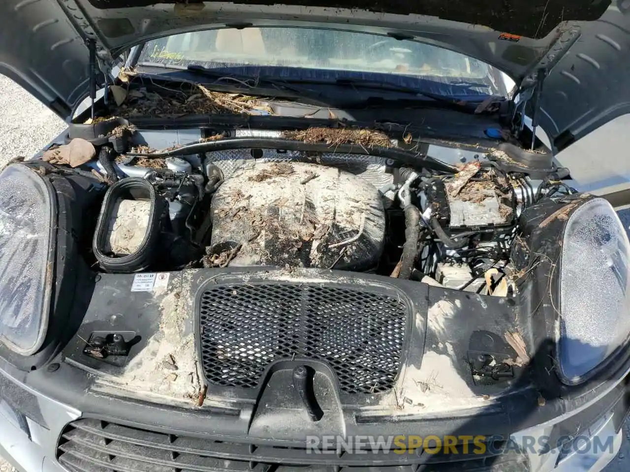 7 Photograph of a damaged car WP1AA2A50KLB09274 PORSCHE MACAN 2019