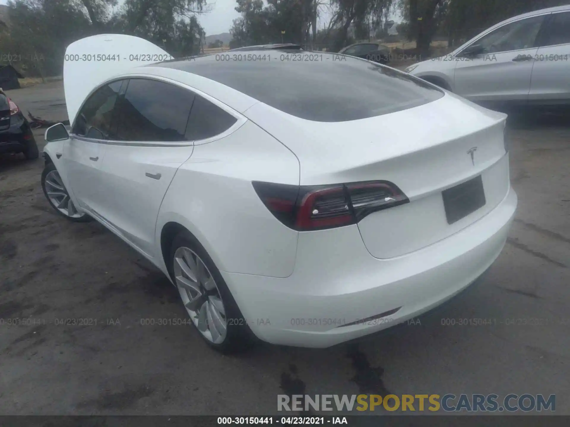 3 Photograph of a damaged car 5YJ3E1EA0KF436275 TESLA MODEL 3 2019