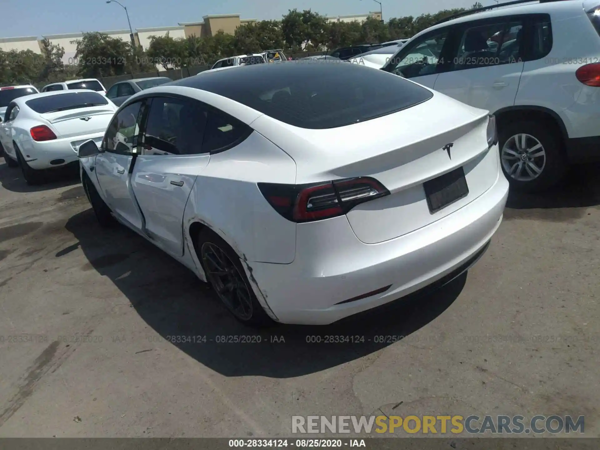 3 Photograph of a damaged car 5YJ3E1EA0KF504106 TESLA MODEL 3 2019