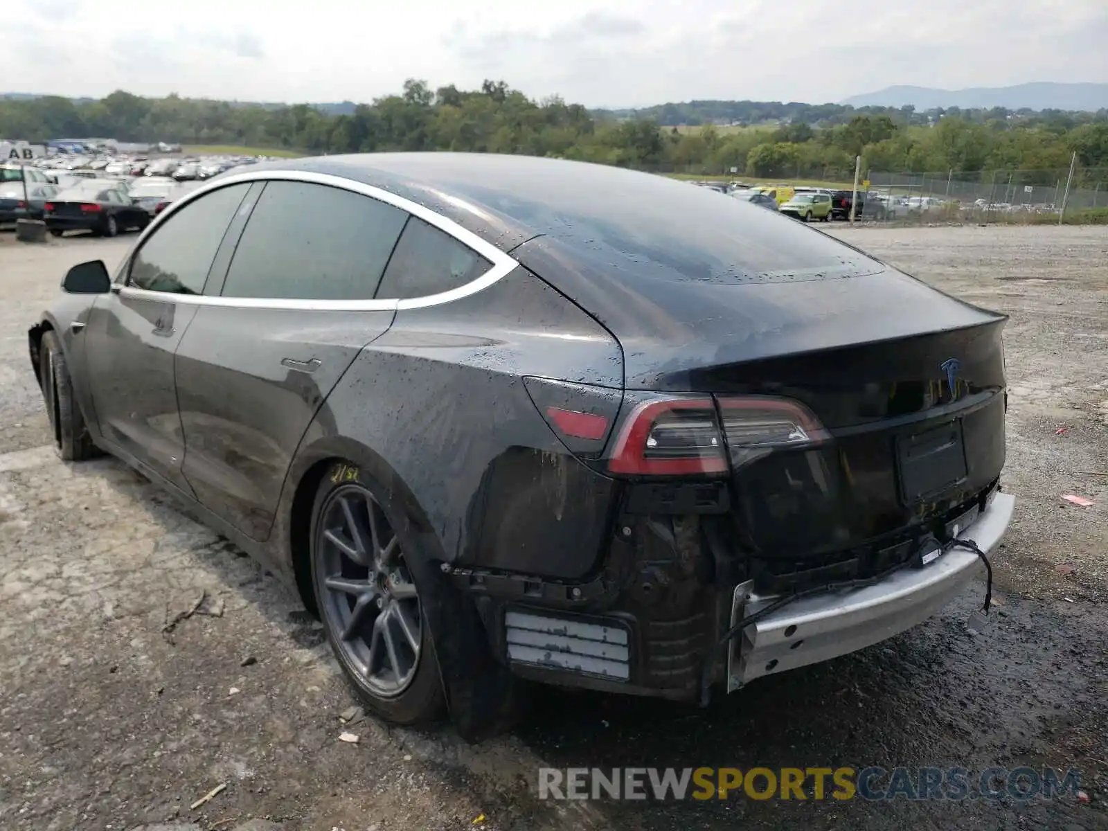 3 Photograph of a damaged car 5YJ3E1EA1KF344799 TESLA MODEL 3 2019