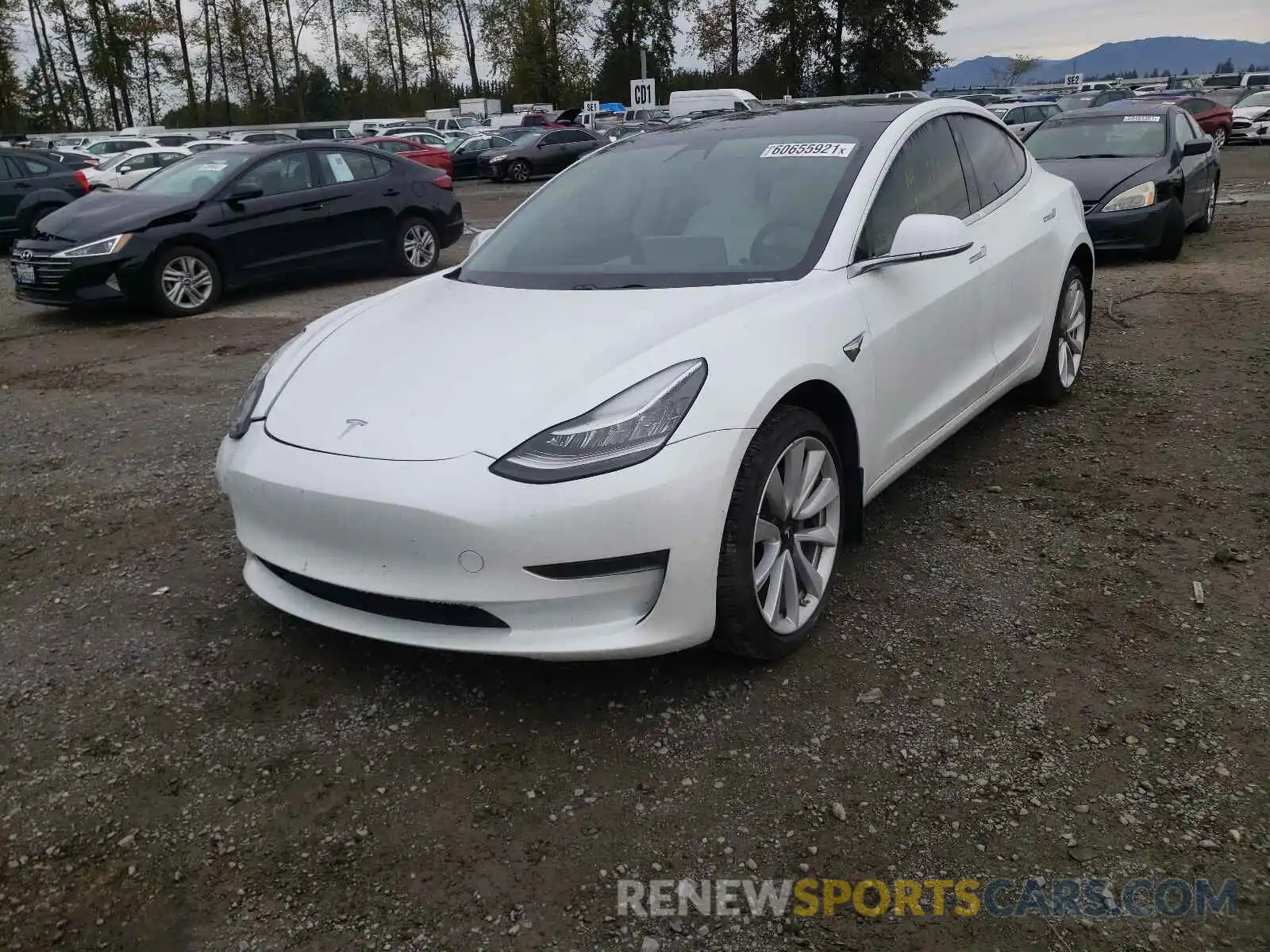 2 Photograph of a damaged car 5YJ3E1EA2KF509842 TESLA MODEL 3 2019