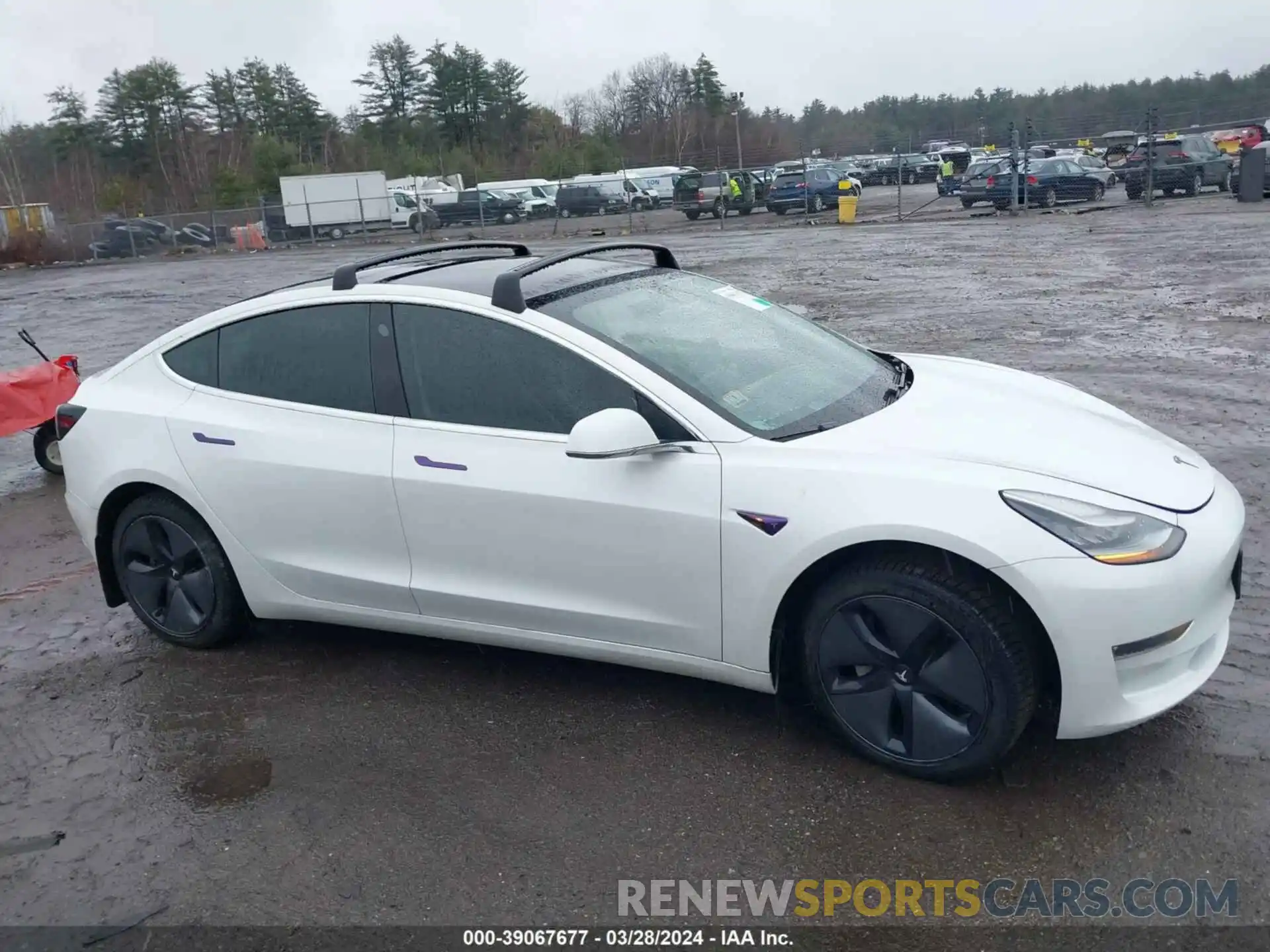 14 Photograph of a damaged car 5YJ3E1EA5KF307139 TESLA MODEL 3 2019