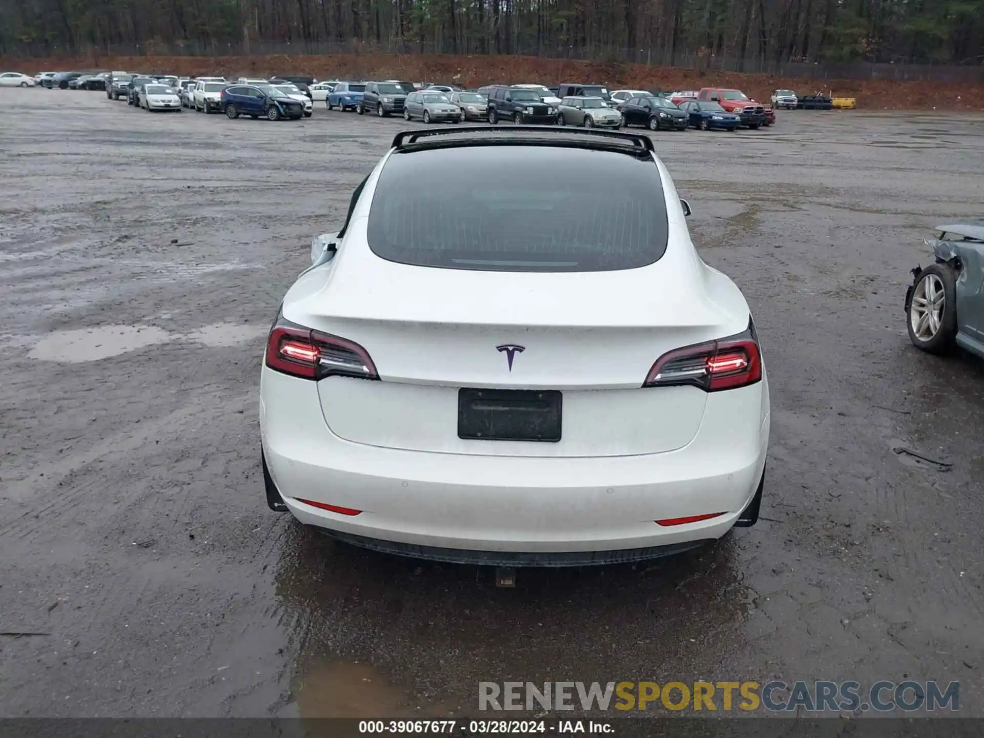 17 Photograph of a damaged car 5YJ3E1EA5KF307139 TESLA MODEL 3 2019