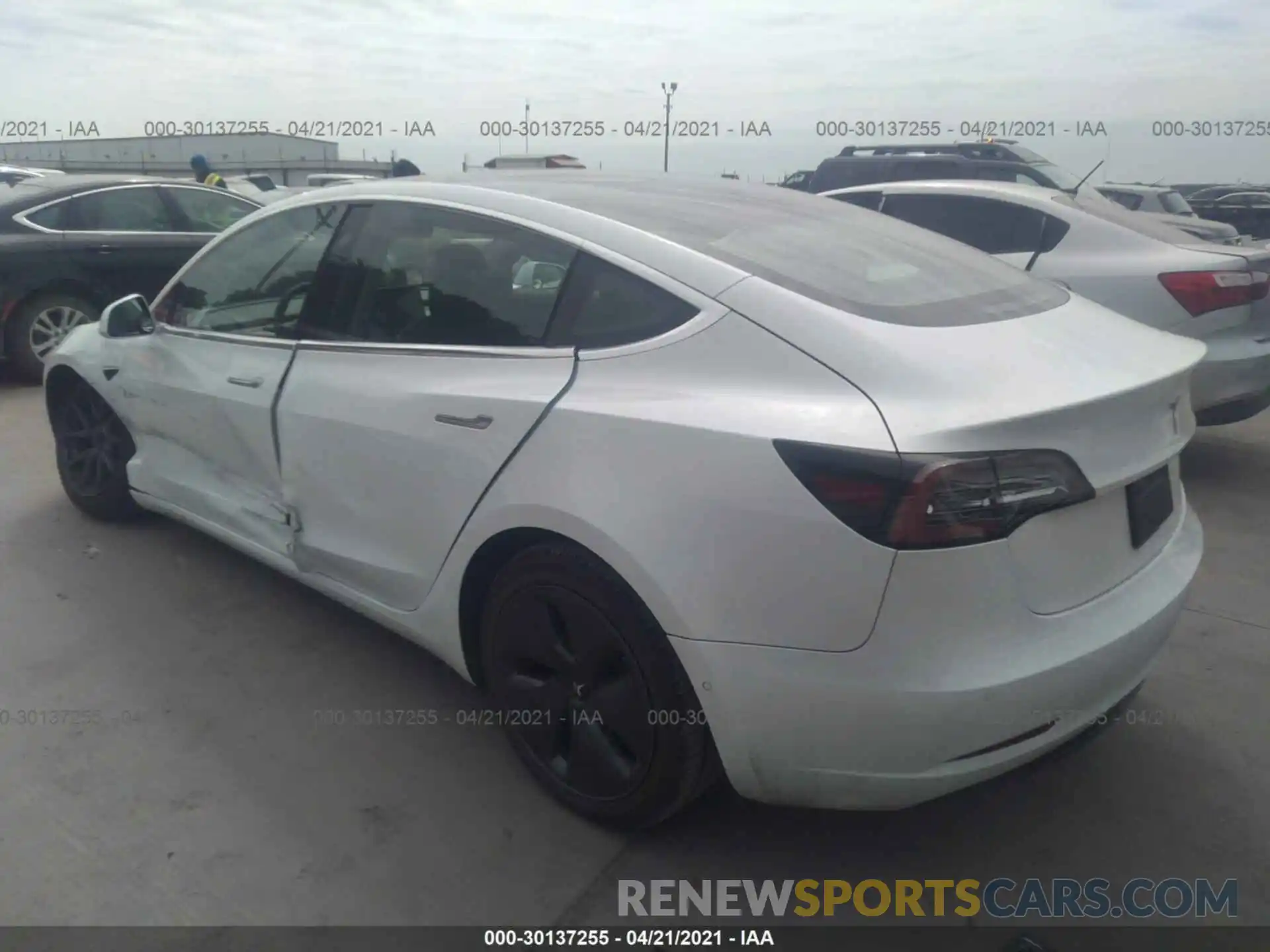 3 Photograph of a damaged car 5YJ3E1EA6KF449466 TESLA MODEL 3 2019