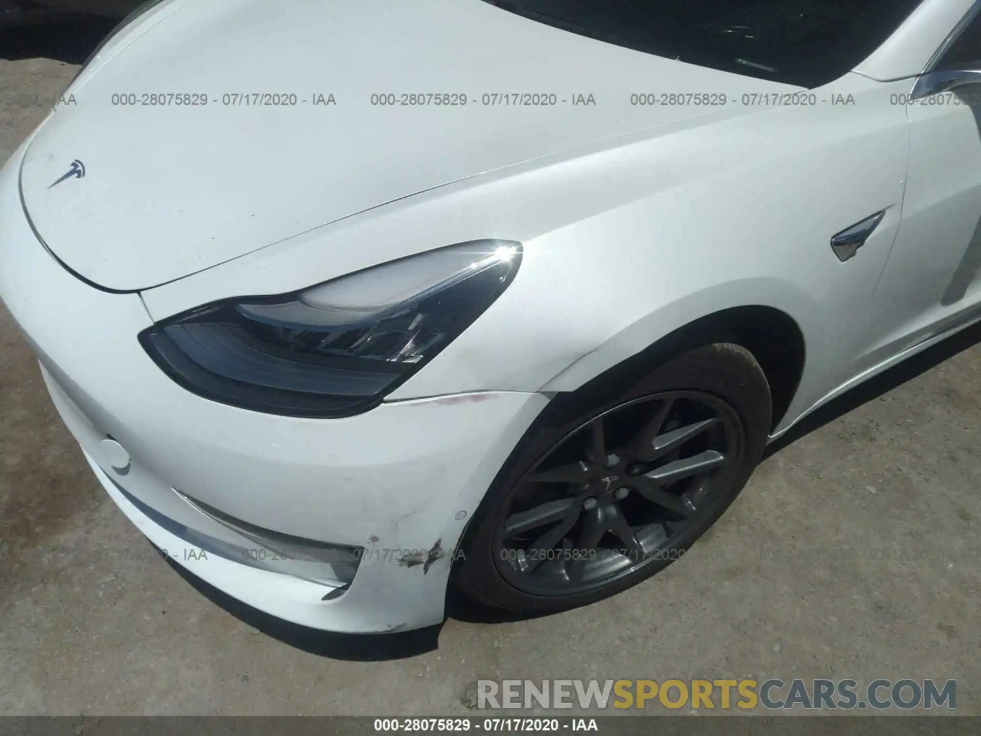 6 Photograph of a damaged car 5YJ3E1EA8KF419787 TESLA MODEL 3 2019