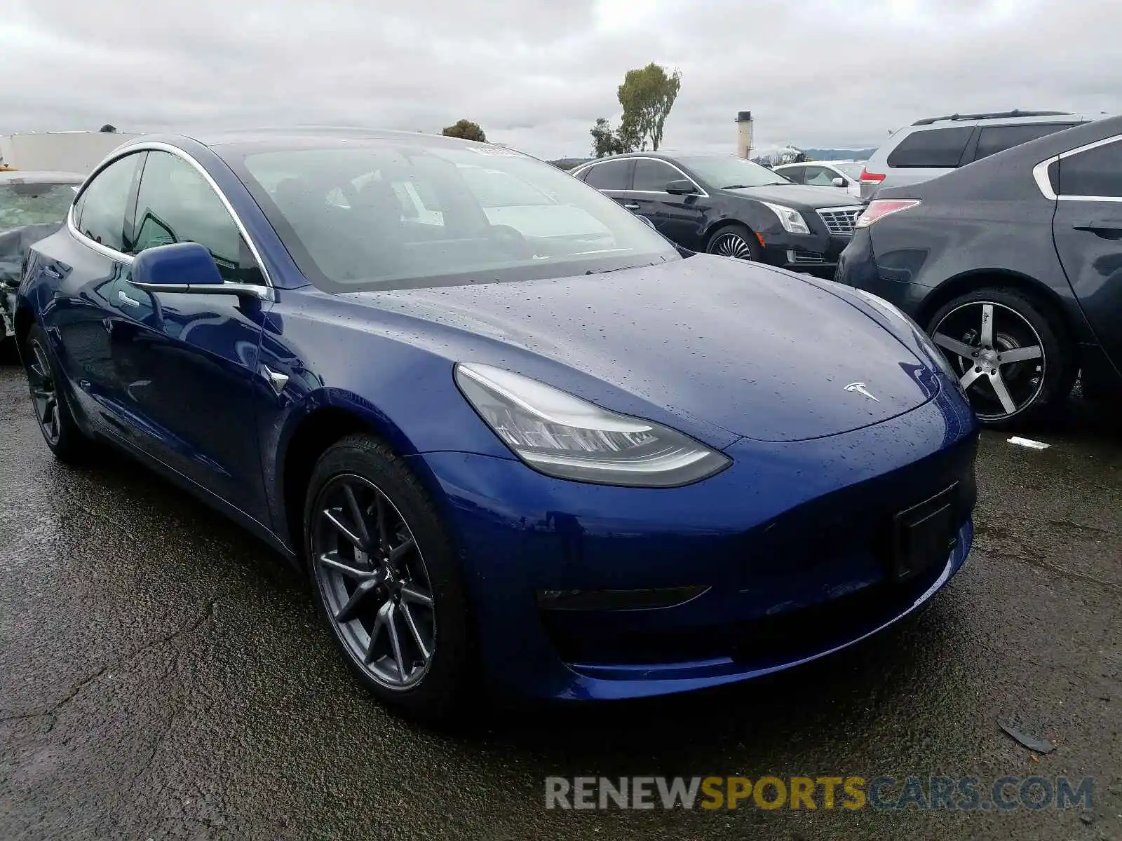 1 Photograph of a damaged car 5YJ3E1EA9KF344727 TESLA MODEL 3 2019