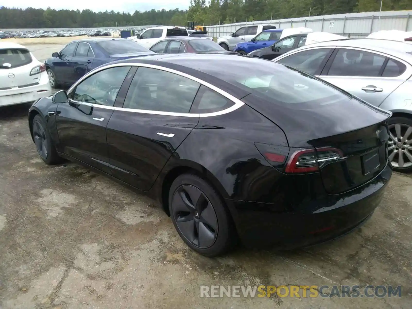 3 Photograph of a damaged car 5YJ3E1EAXKF306892 TESLA MODEL 3 2019