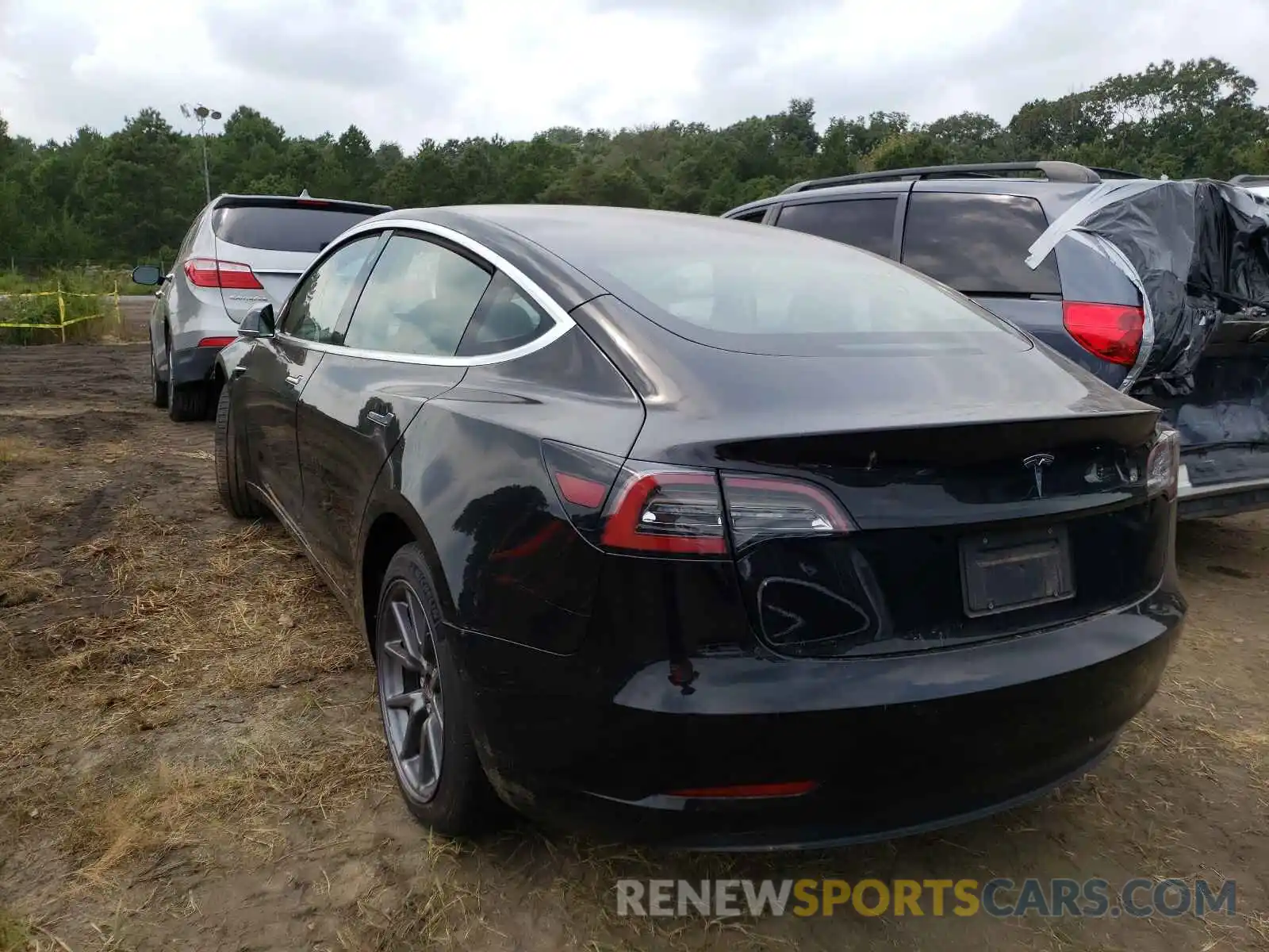 3 Photograph of a damaged car 5YJ3E1EAXKF362010 TESLA MODEL 3 2019