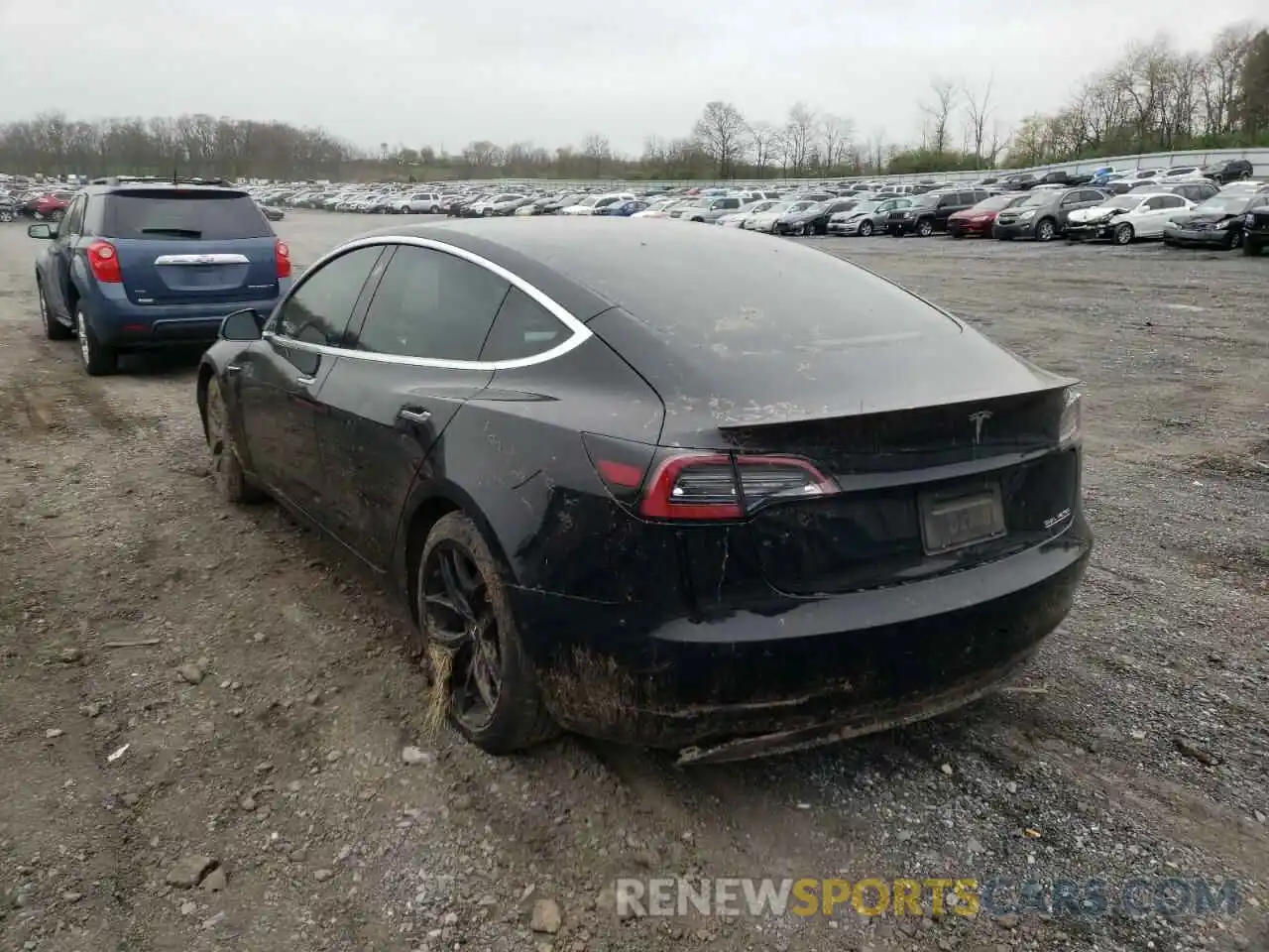 3 Photograph of a damaged car 5YJ3E1EB0KF231645 TESLA MODEL 3 2019