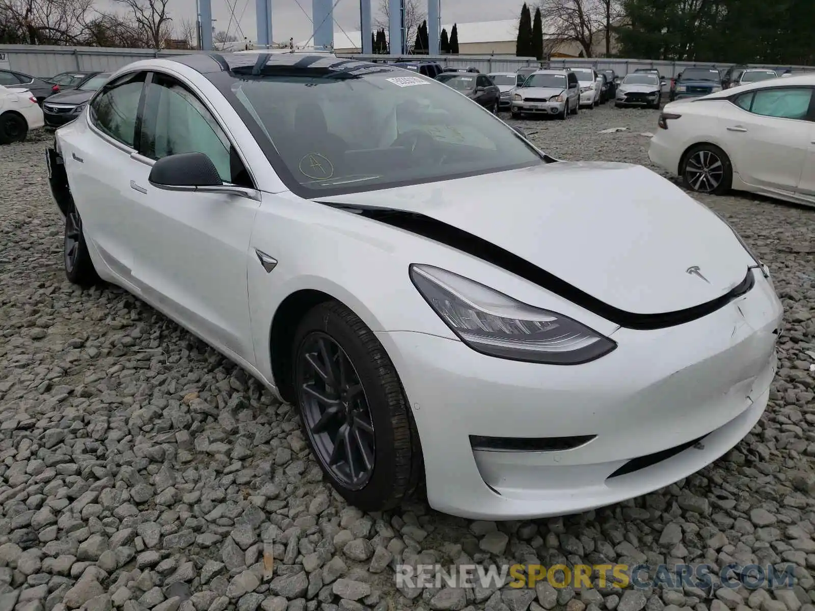 1 Photograph of a damaged car 5YJ3E1EB0KF388401 TESLA MODEL 3 2019