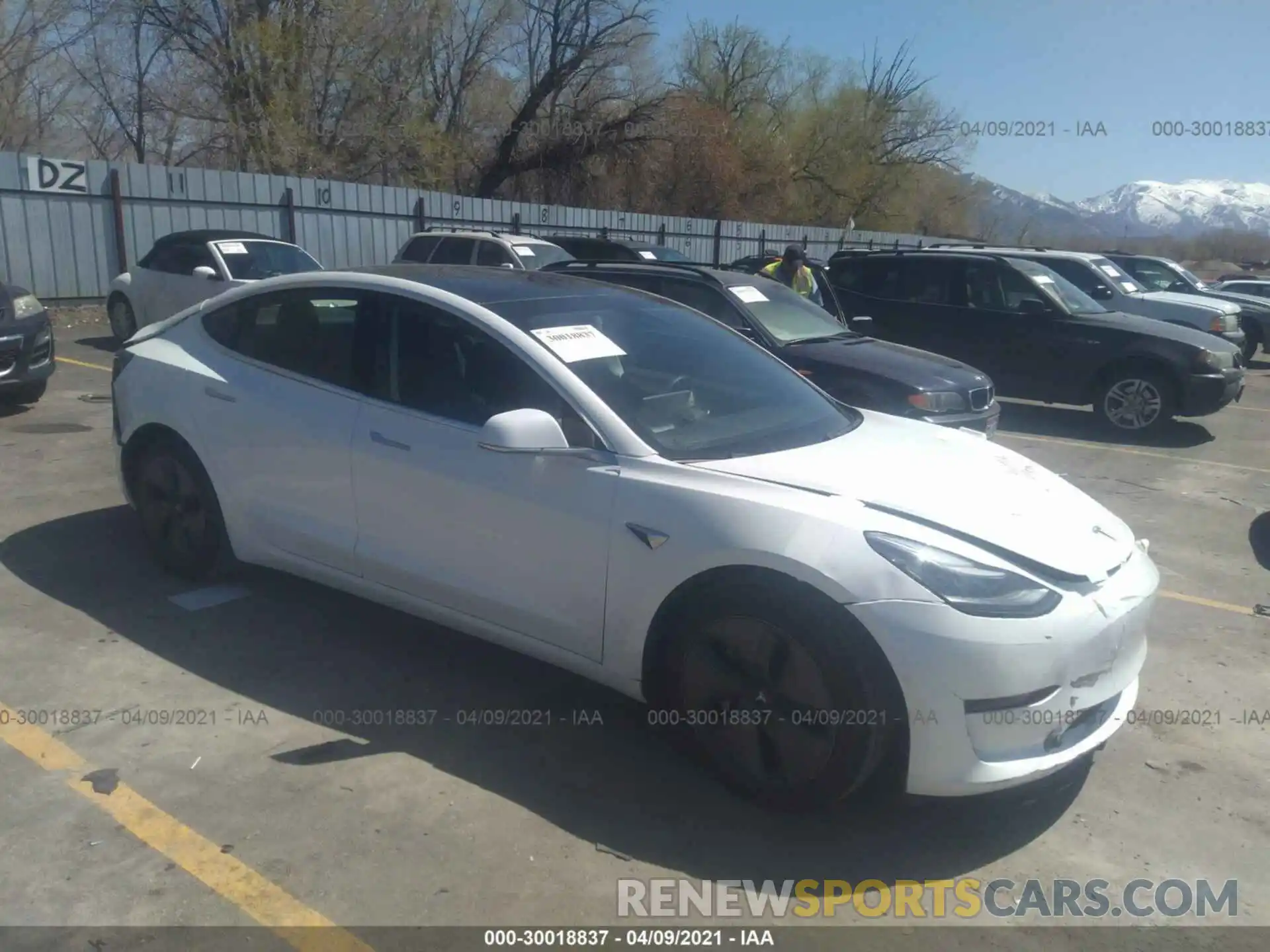 1 Photograph of a damaged car 5YJ3E1EB1KF494159 TESLA MODEL 3 2019