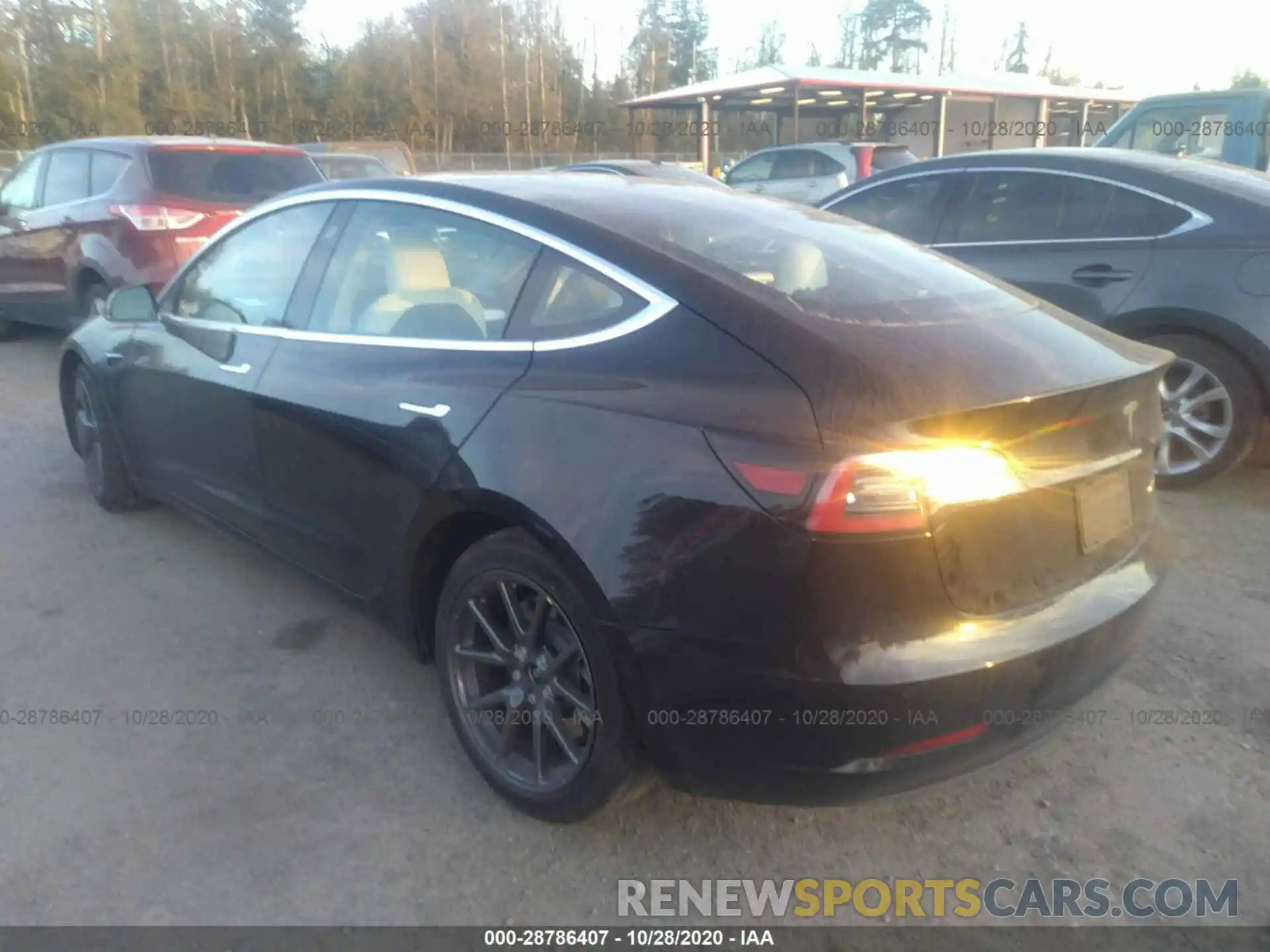 3 Photograph of a damaged car 5YJ3E1EB2KF421401 TESLA MODEL 3 2019