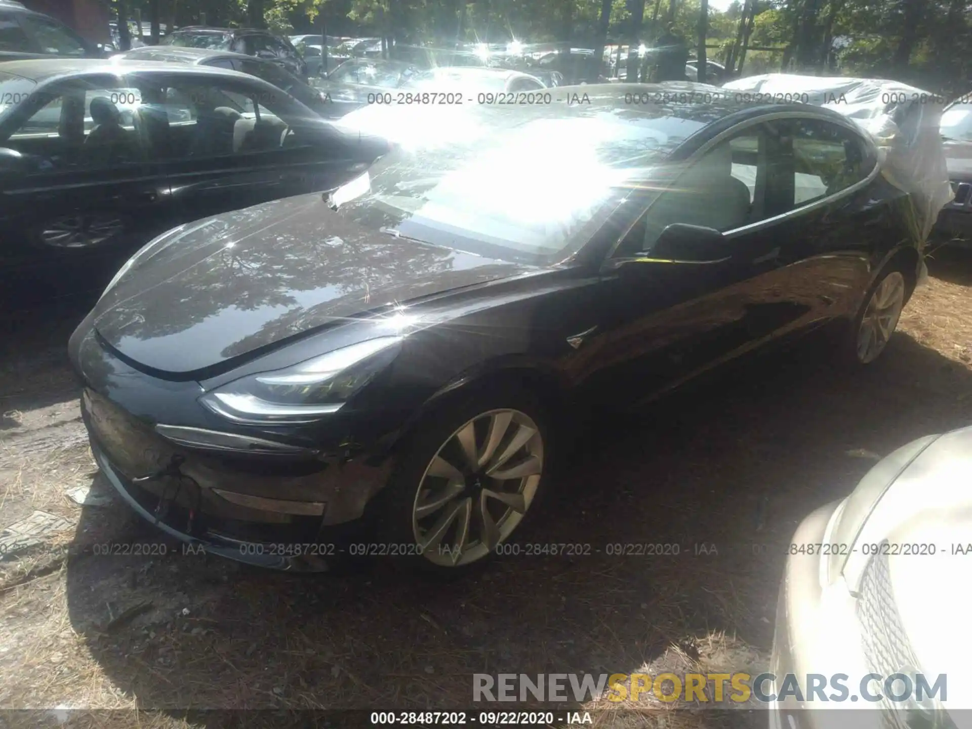 2 Photograph of a damaged car 5YJ3E1EB3KF391390 TESLA MODEL 3 2019