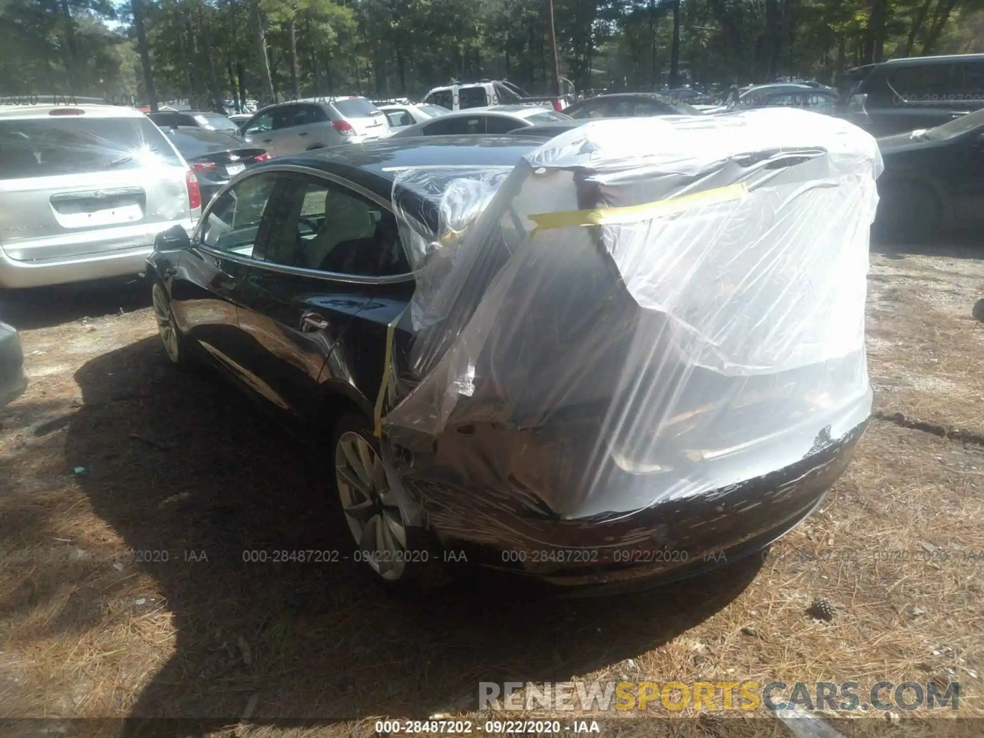 3 Photograph of a damaged car 5YJ3E1EB3KF391390 TESLA MODEL 3 2019