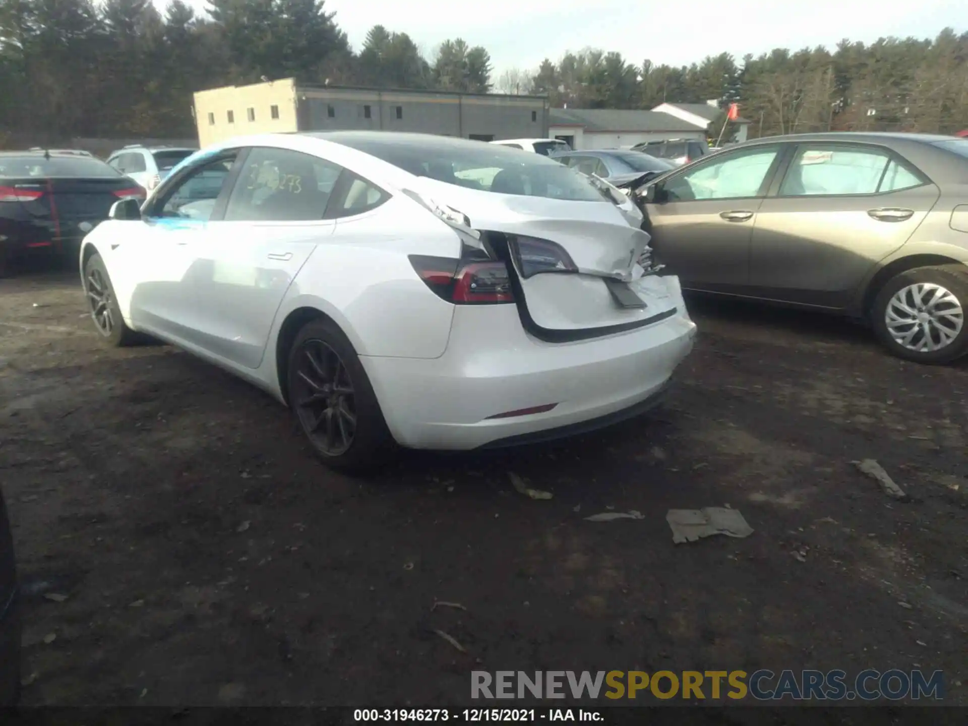 3 Photograph of a damaged car 5YJ3E1EB5KF493984 TESLA MODEL 3 2019