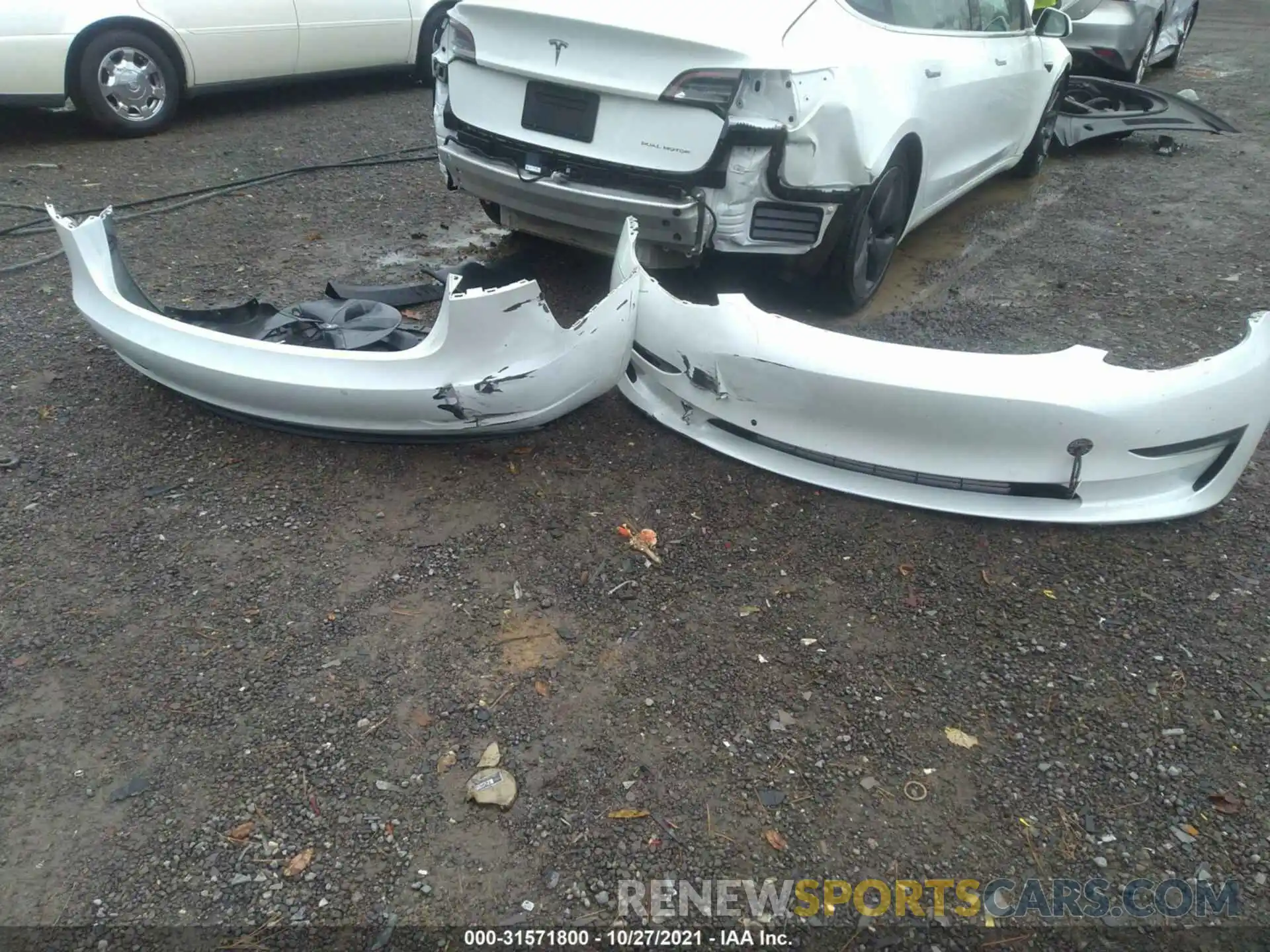 12 Photograph of a damaged car 5YJ3E1EB6KF494562 TESLA MODEL 3 2019