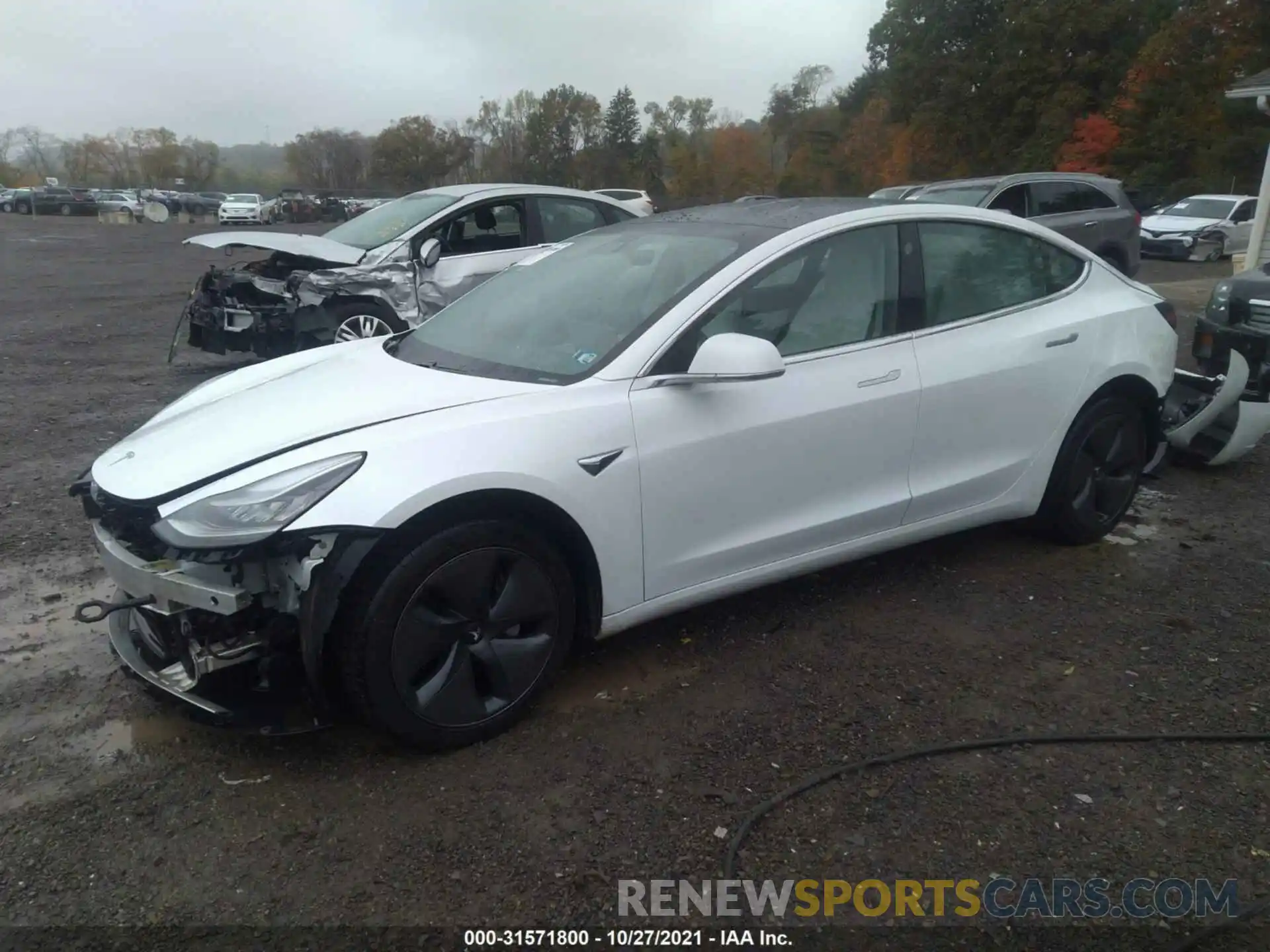 2 Photograph of a damaged car 5YJ3E1EB6KF494562 TESLA MODEL 3 2019