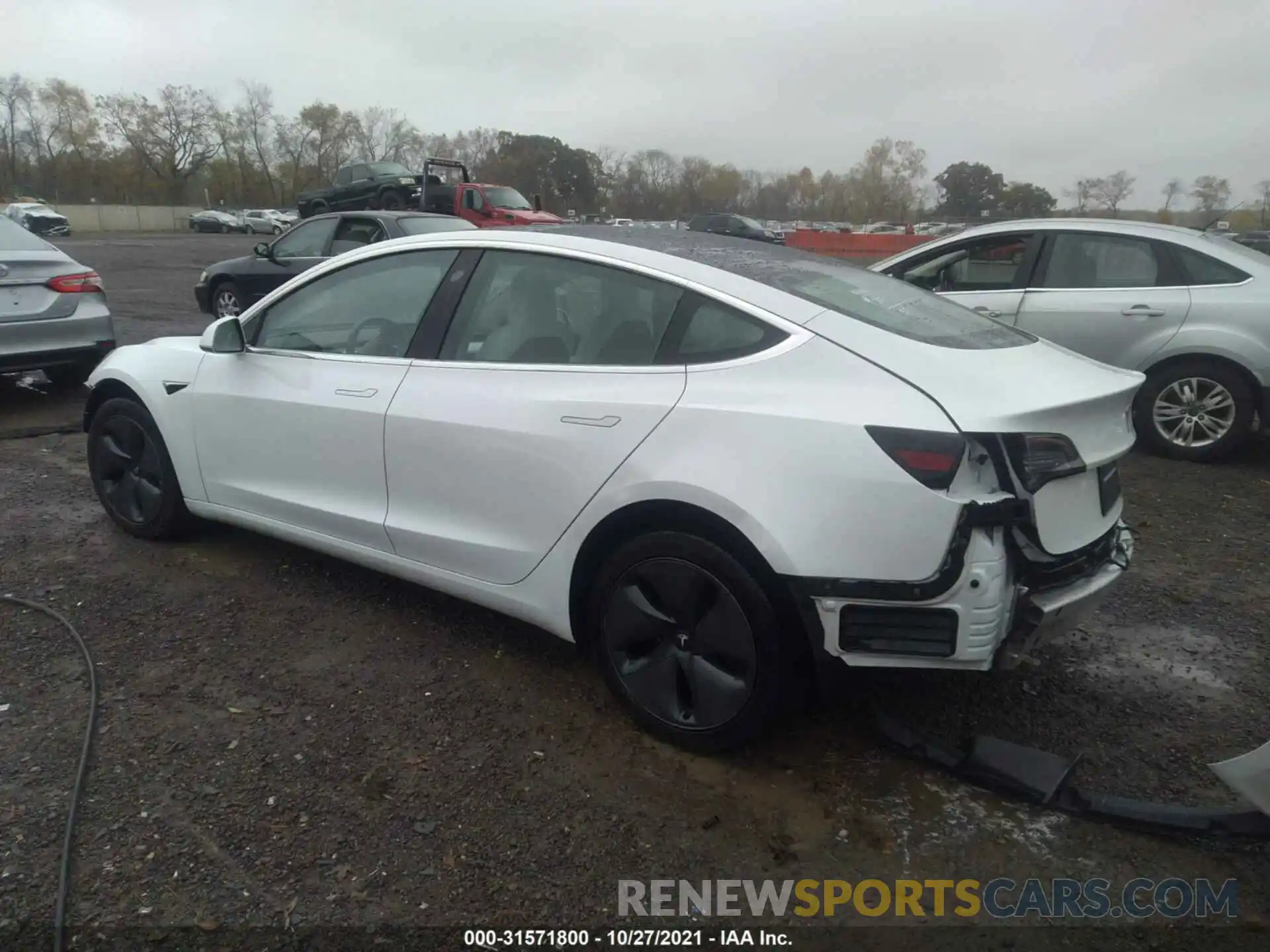 3 Photograph of a damaged car 5YJ3E1EB6KF494562 TESLA MODEL 3 2019