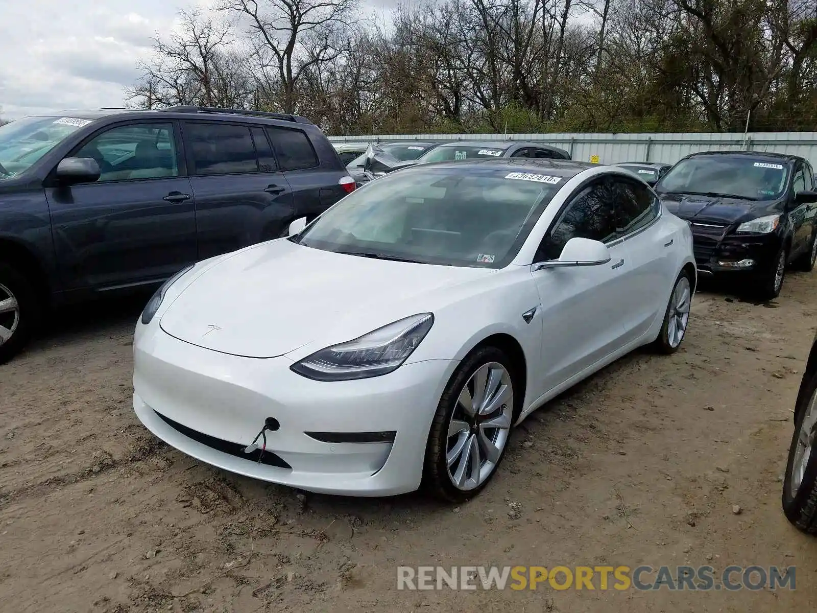 2 Фотография поврежденного автомобиля 5YJ3E1EB7KF427422 TESLA MODEL 3 2019