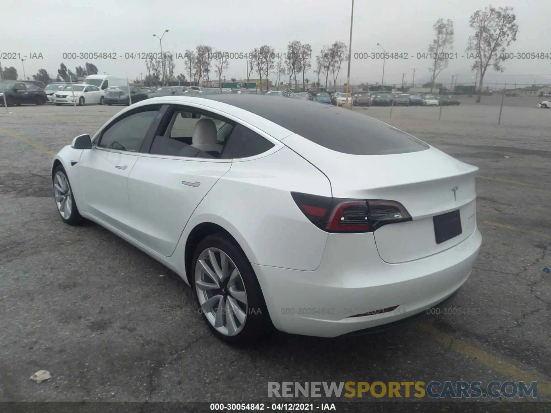 3 Фотография поврежденного автомобиля 5YJ3E1EB8KF421824 TESLA MODEL 3 2019