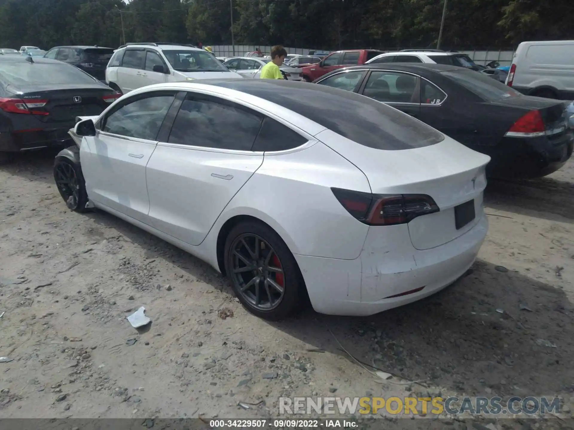 3 Photograph of a damaged car 5YJ3E1EB9KF493986 TESLA MODEL 3 2019