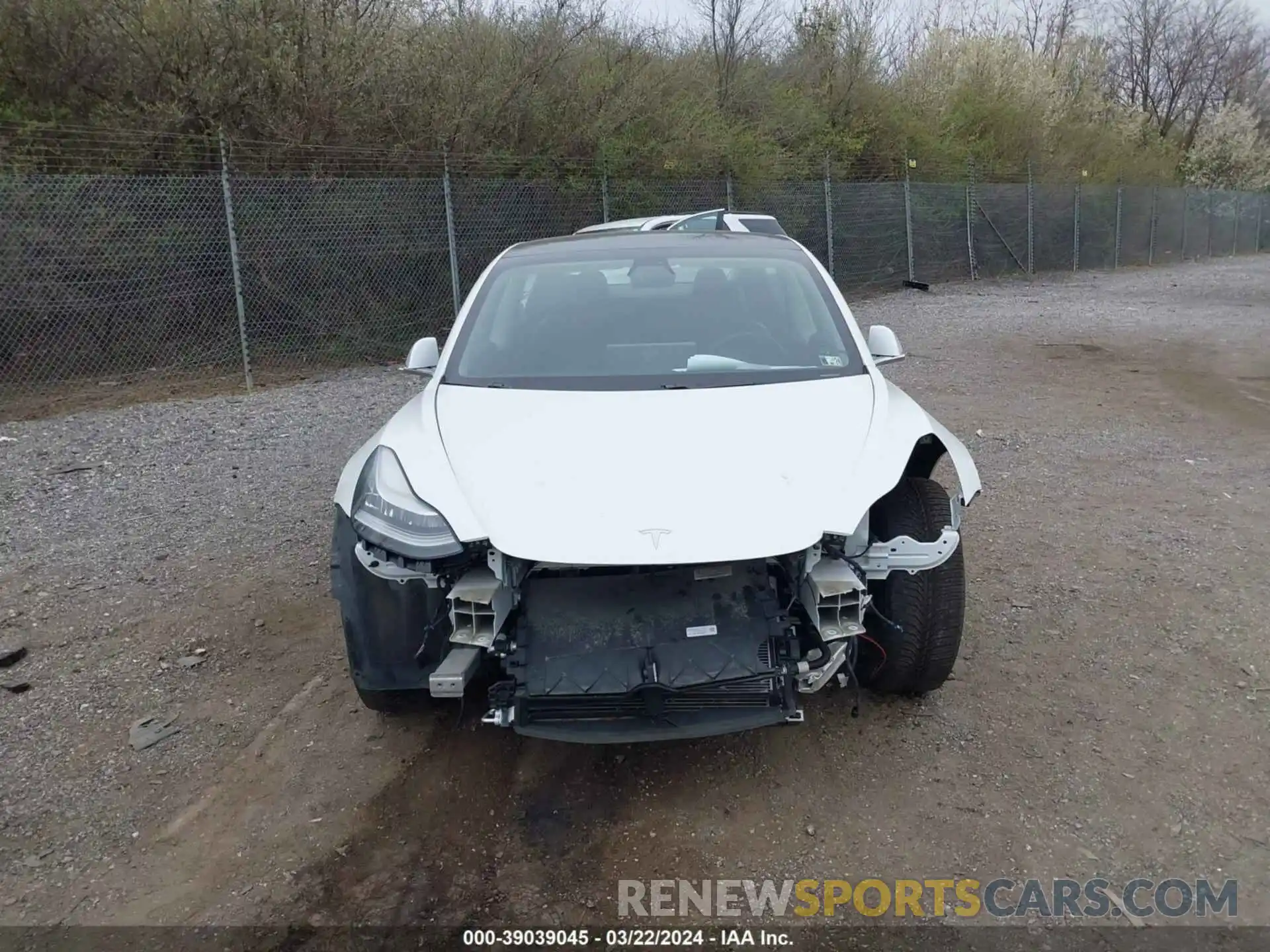 12 Photograph of a damaged car 5YJ3E1EA0LF504236 TESLA MODEL 3 2020