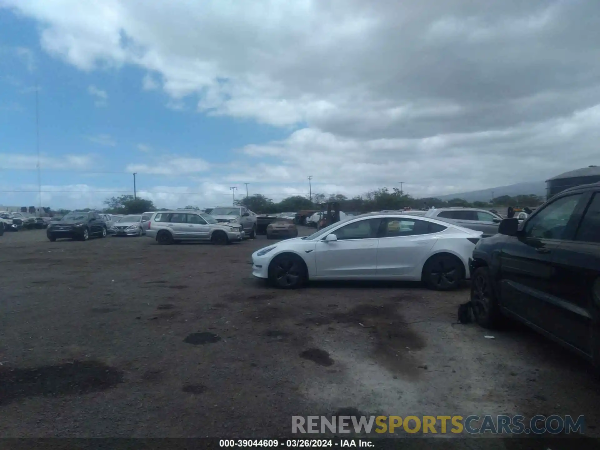 19 Photograph of a damaged car 5YJ3E1EA1LF597820 TESLA MODEL 3 2020