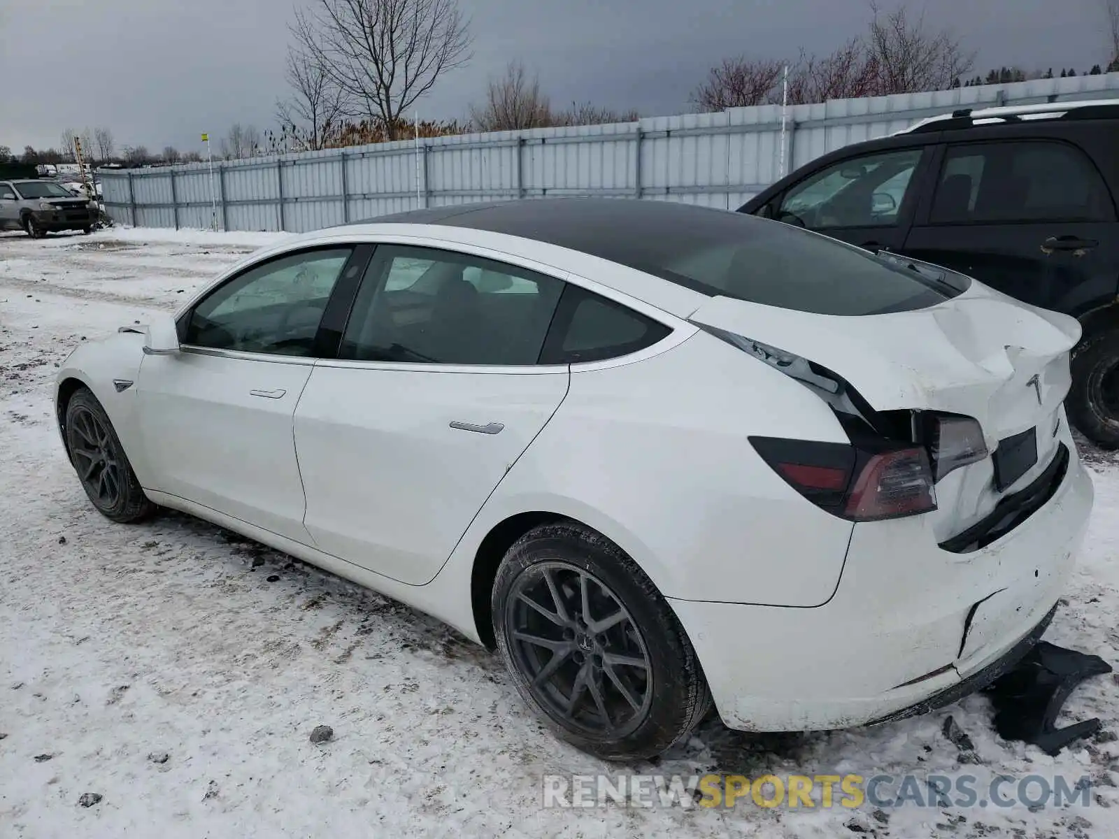 3 Photograph of a damaged car 5YJ3E1EA2LF794303 TESLA MODEL 3 2020