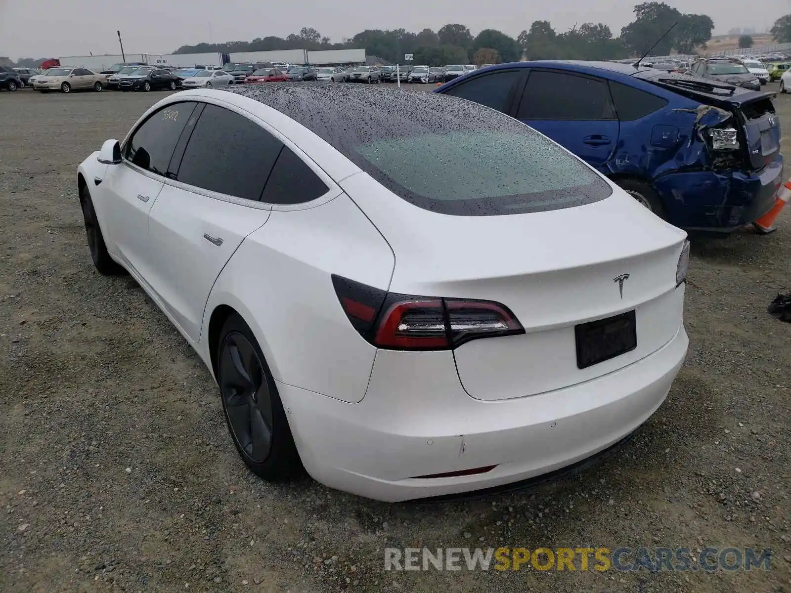 3 Photograph of a damaged car 5YJ3E1EAXLF590526 TESLA MODEL 3 2020