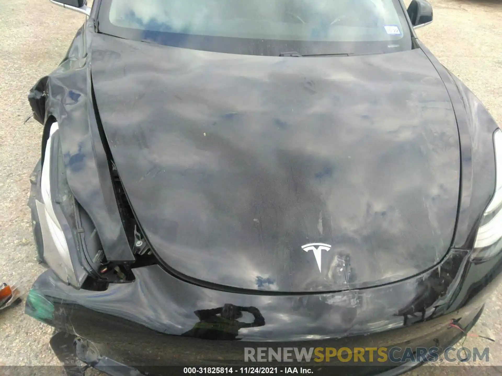 10 Photograph of a damaged car 5YJ3E1EB6LF802895 TESLA MODEL 3 2020