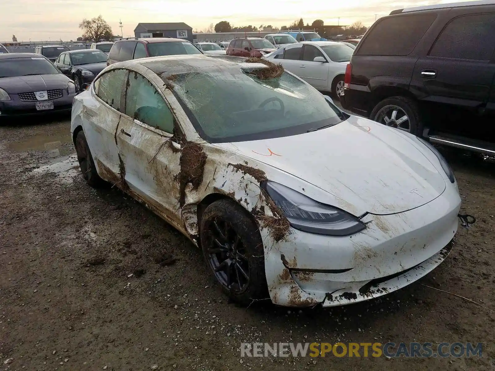 1 Photograph of a damaged car 5YJ3E1EBXLF650264 TESLA MODEL 3 2020