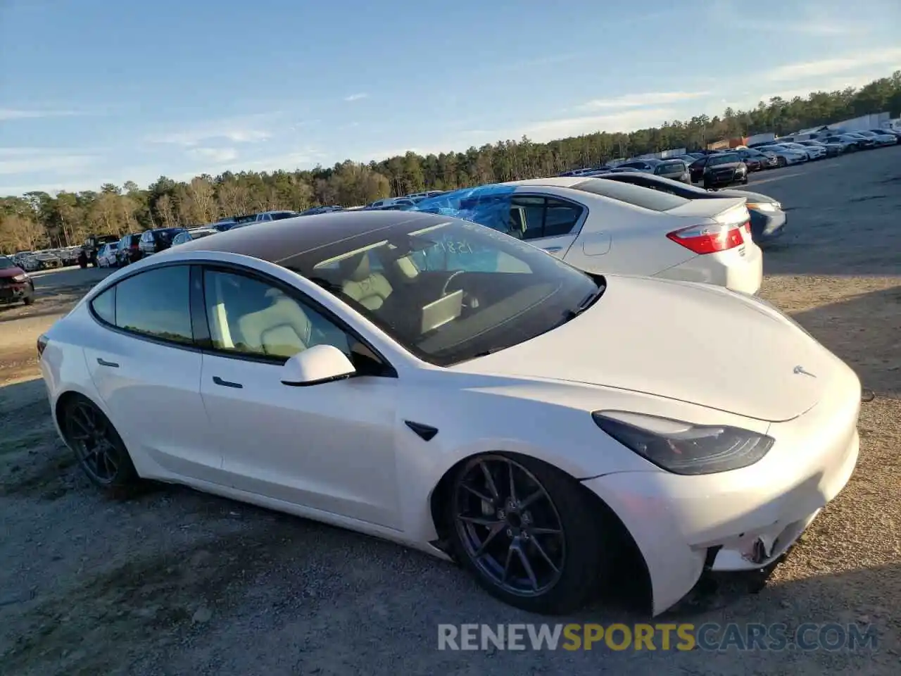 1 Photograph of a damaged car 5YJ3E1EA1MF914805 TESLA MODEL 3 2021