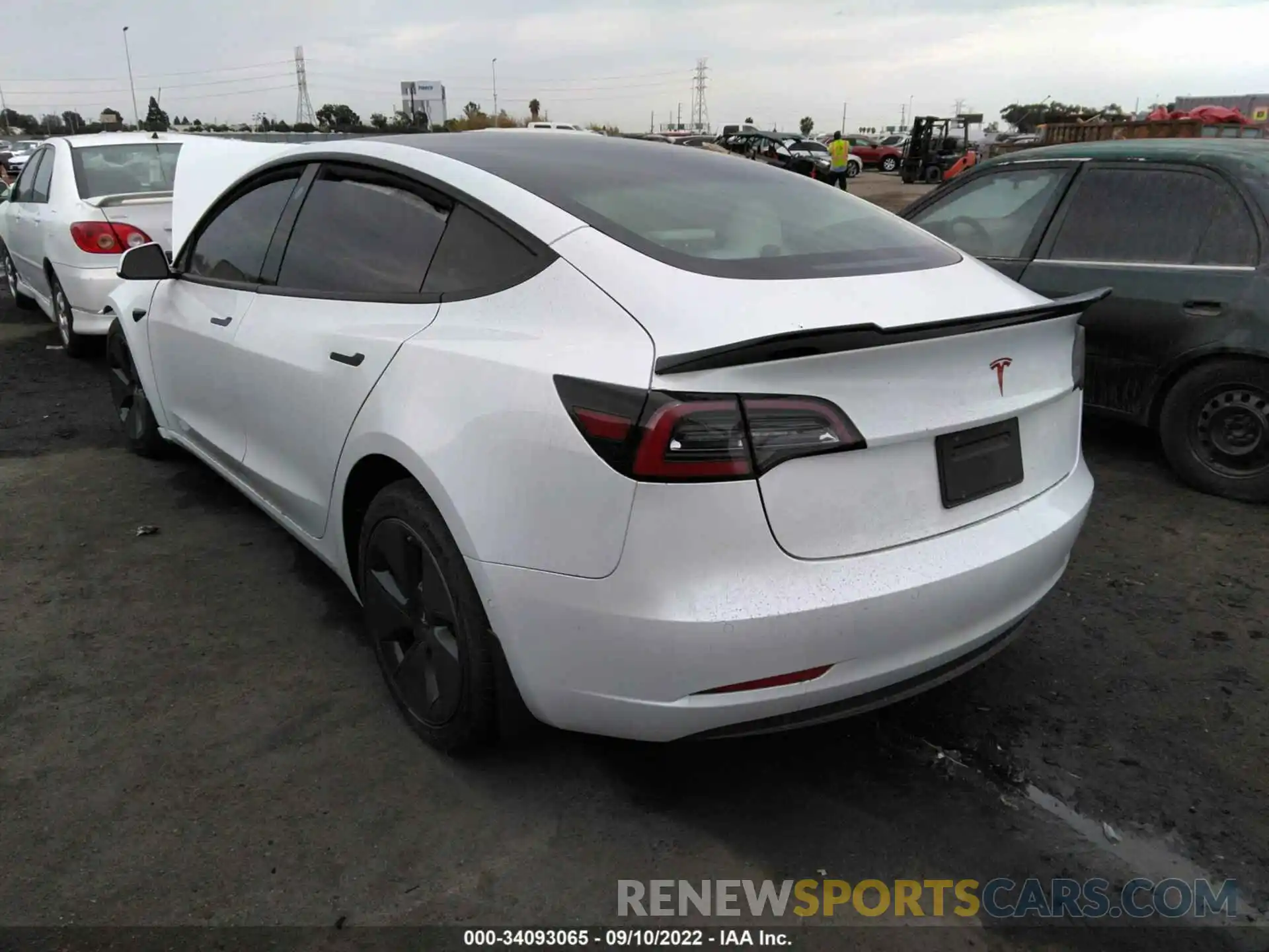 3 Photograph of a damaged car 5YJ3E1EA3MF938782 TESLA MODEL 3 2021