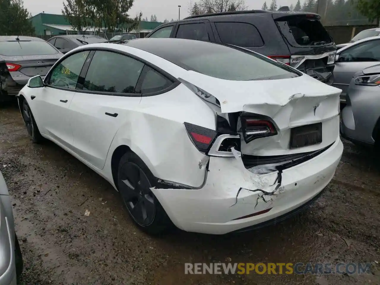 3 Photograph of a damaged car 5YJ3E1EA4MF867687 TESLA MODEL 3 2021